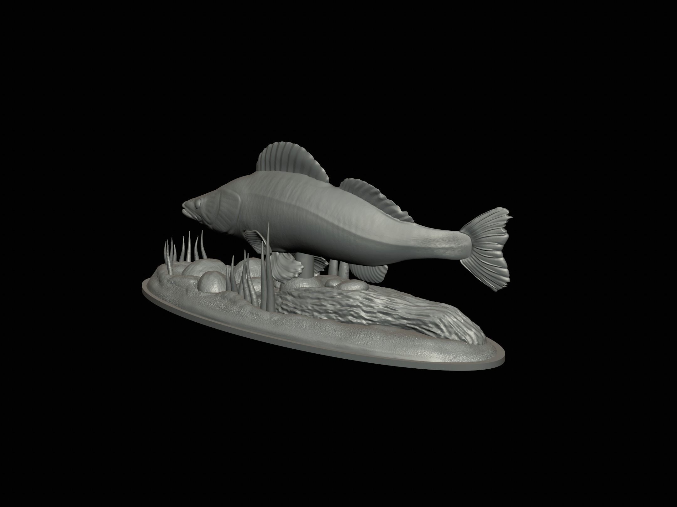fish zander in motion underwater statue detailed texture  3D print model_18
