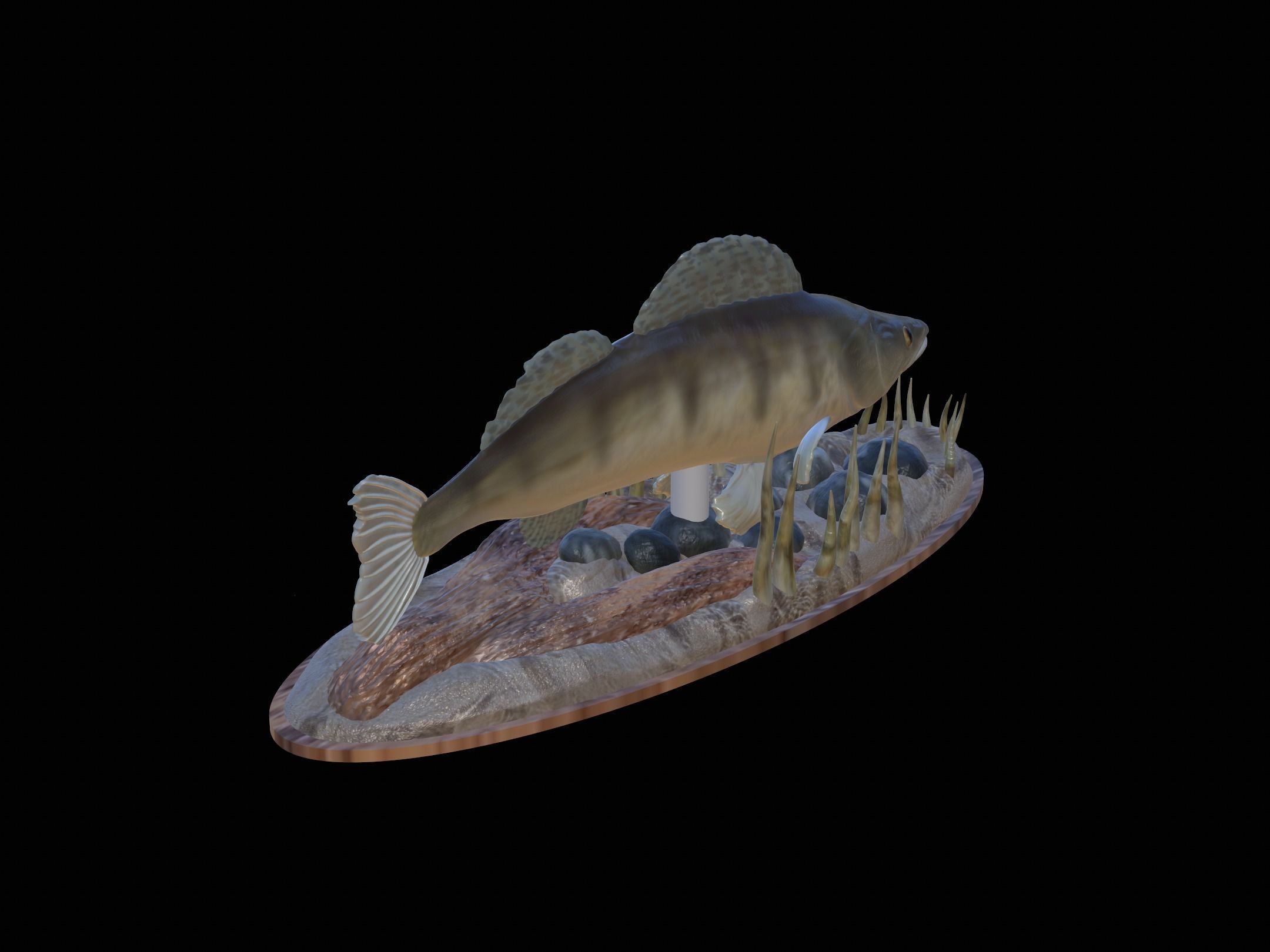 fish zander in motion underwater statue detailed texture  3D print model_24