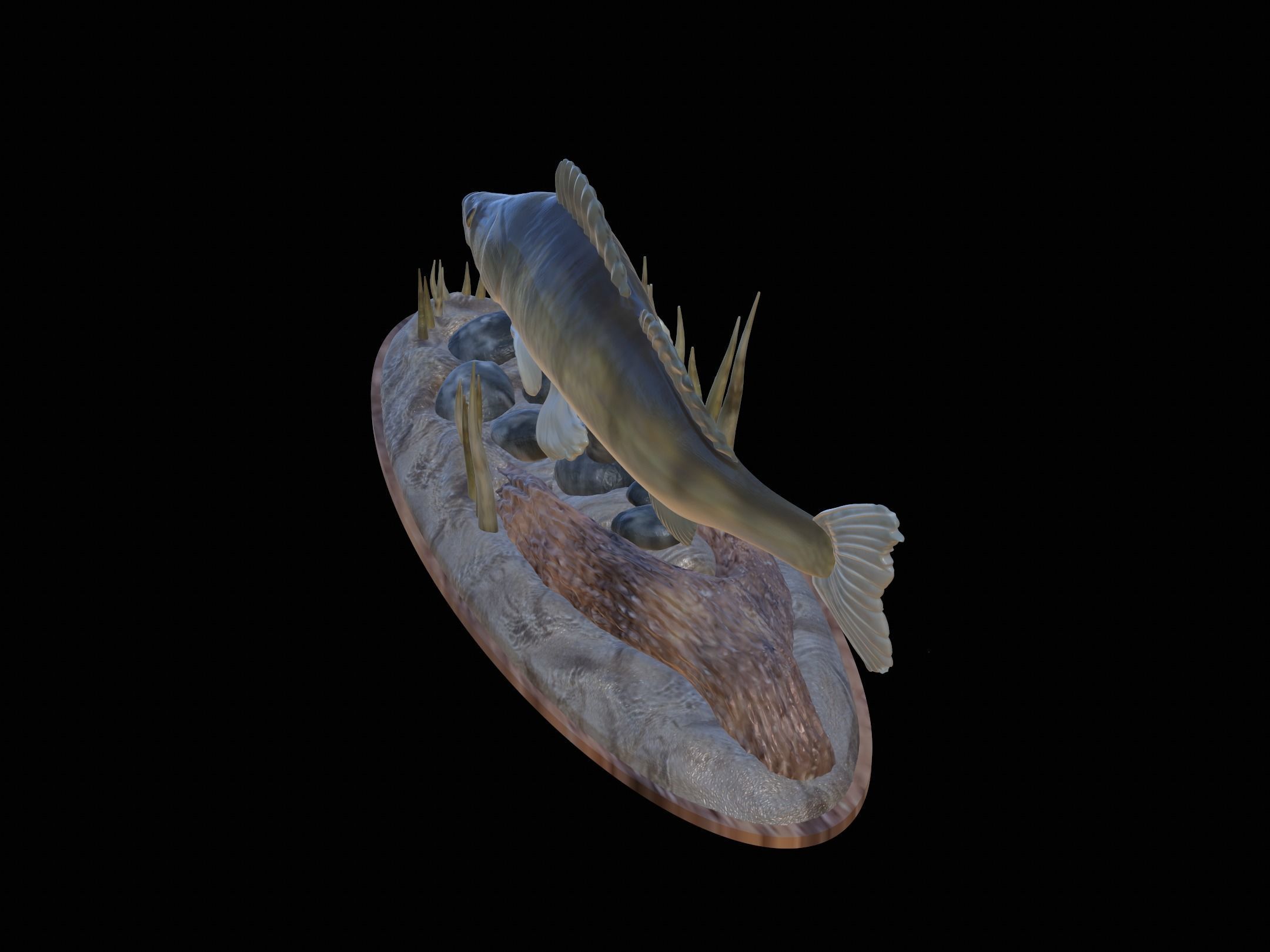 fish zander in motion underwater statue detailed texture  3D print model_26