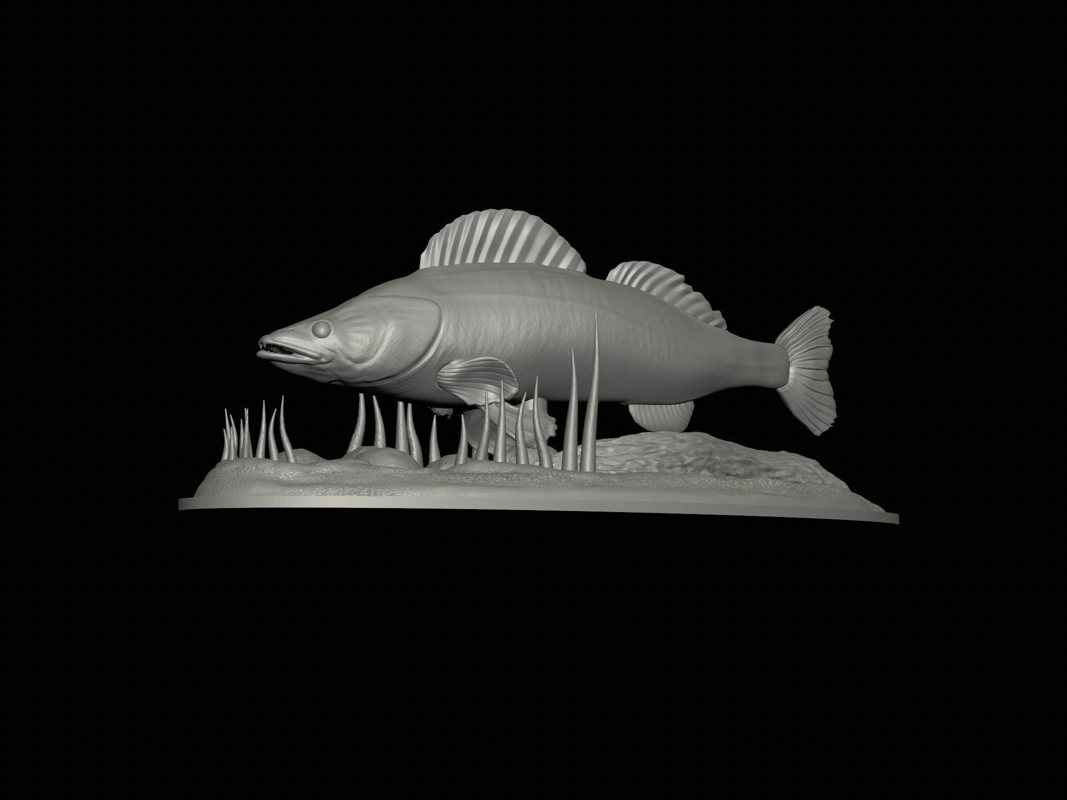 fish zander in motion underwater statue detailed texture  3D print model_19