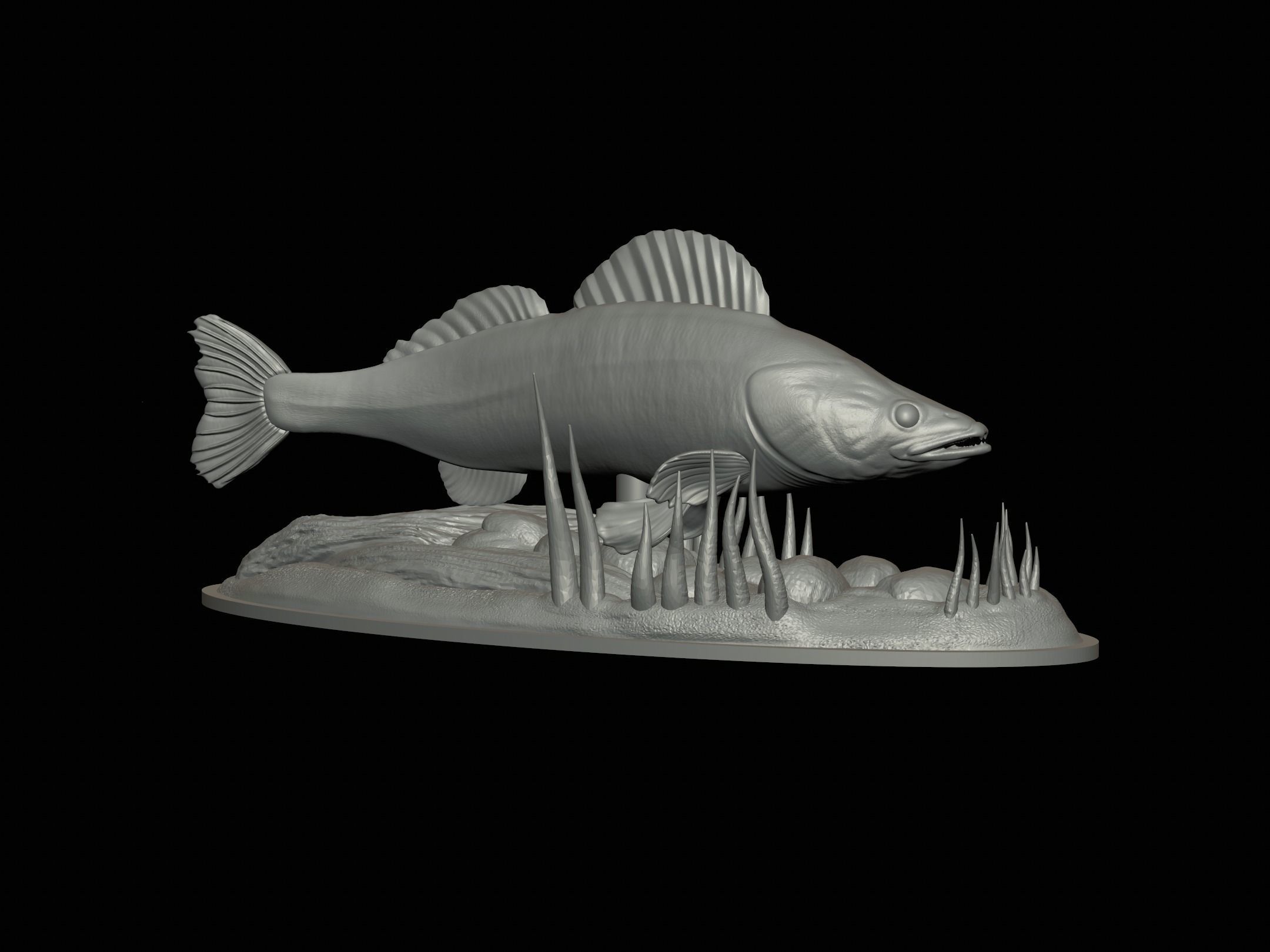 fish zander in motion underwater statue detailed texture  3D print model_15