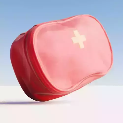 Scanned red first aid kit Low-poly 3D model