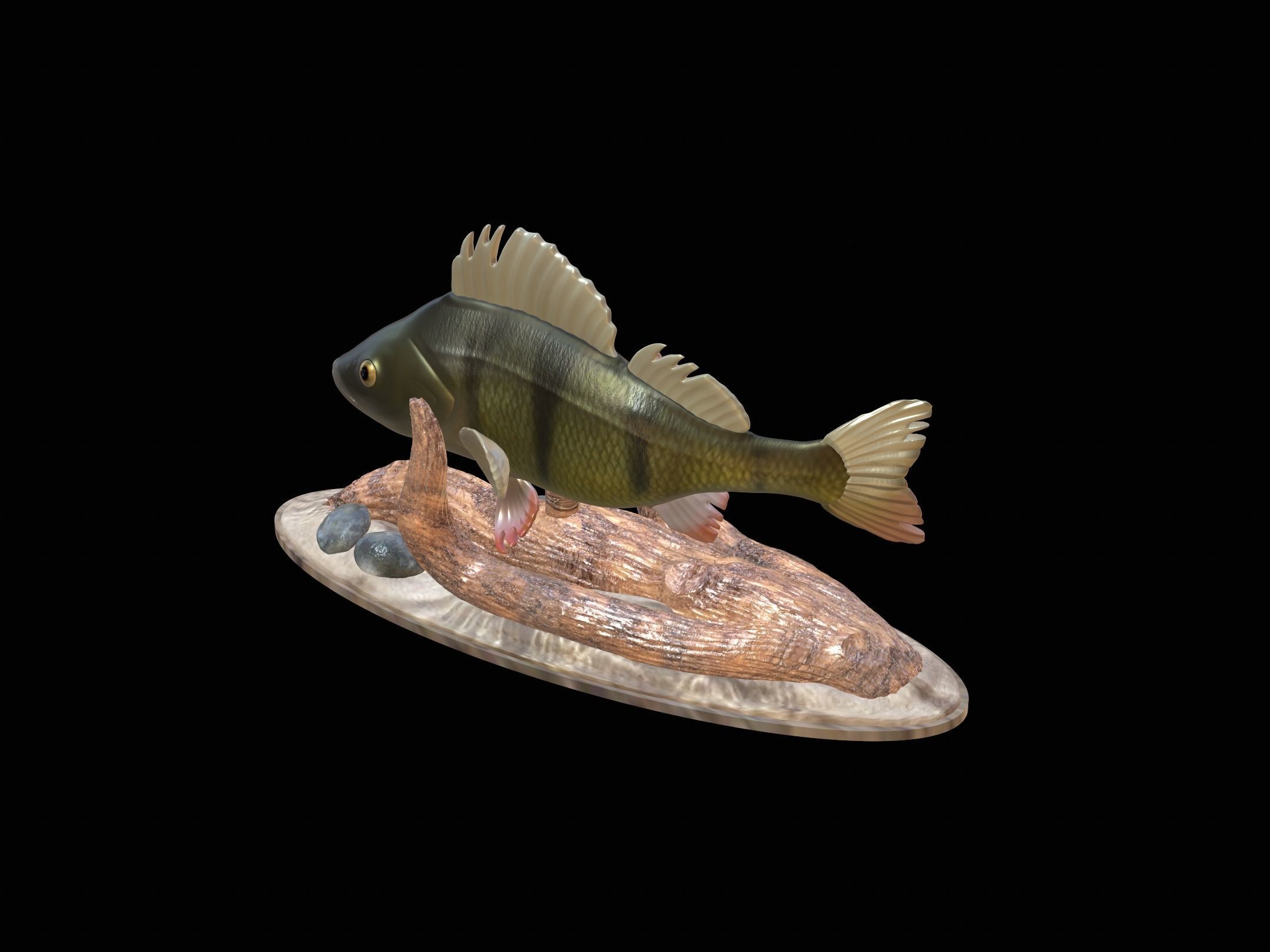 fish perch in motion underwater statue detailed texture 3D print model_15