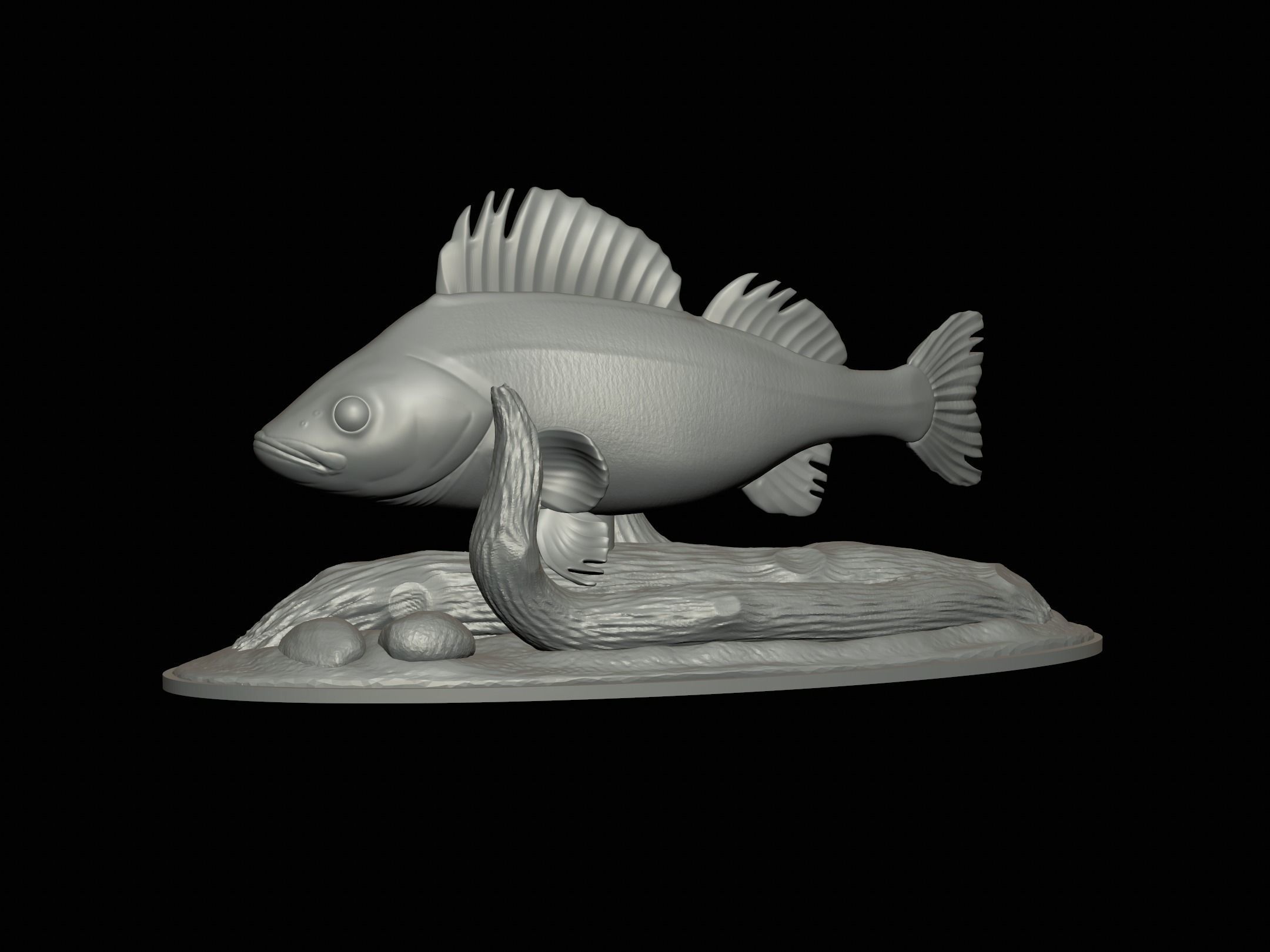fish perch in motion underwater statue detailed texture 3D print model_12