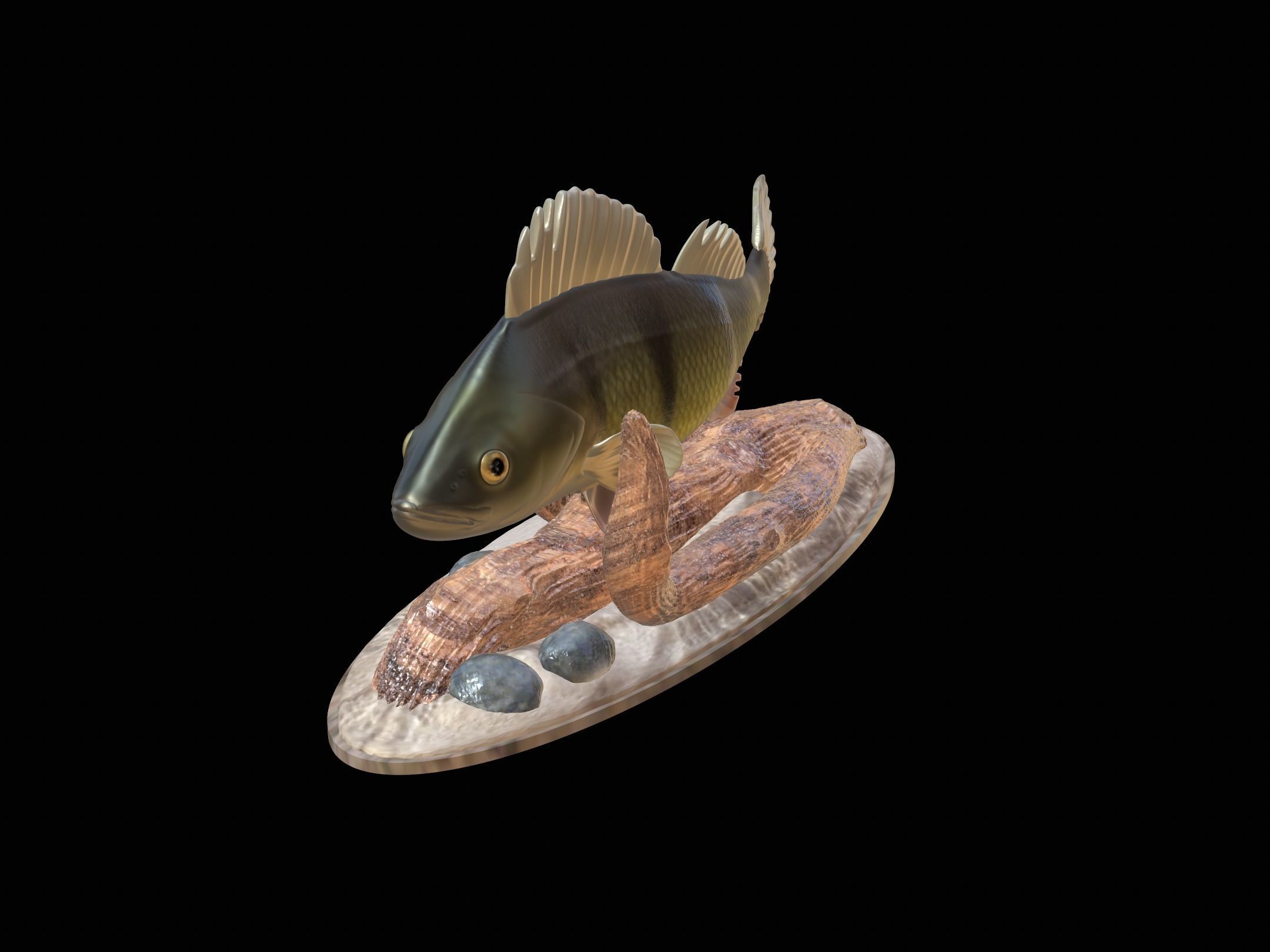fish perch in motion underwater statue detailed texture 3D print model_2