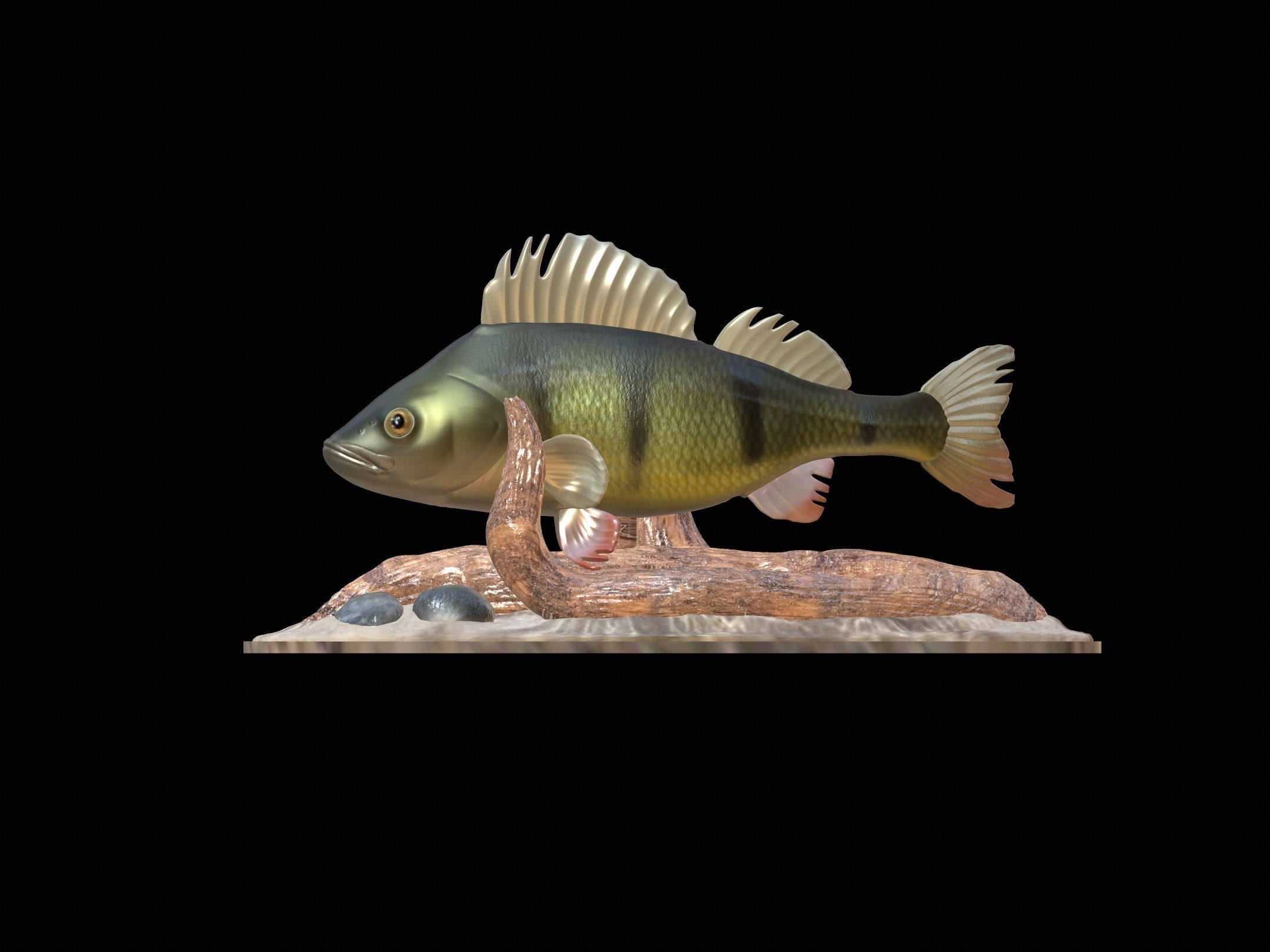 fish perch in motion underwater statue detailed texture 3D print model_11
