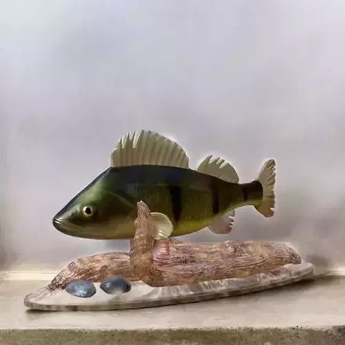 fish perch in motion underwater statue detailed texture 3D print model
