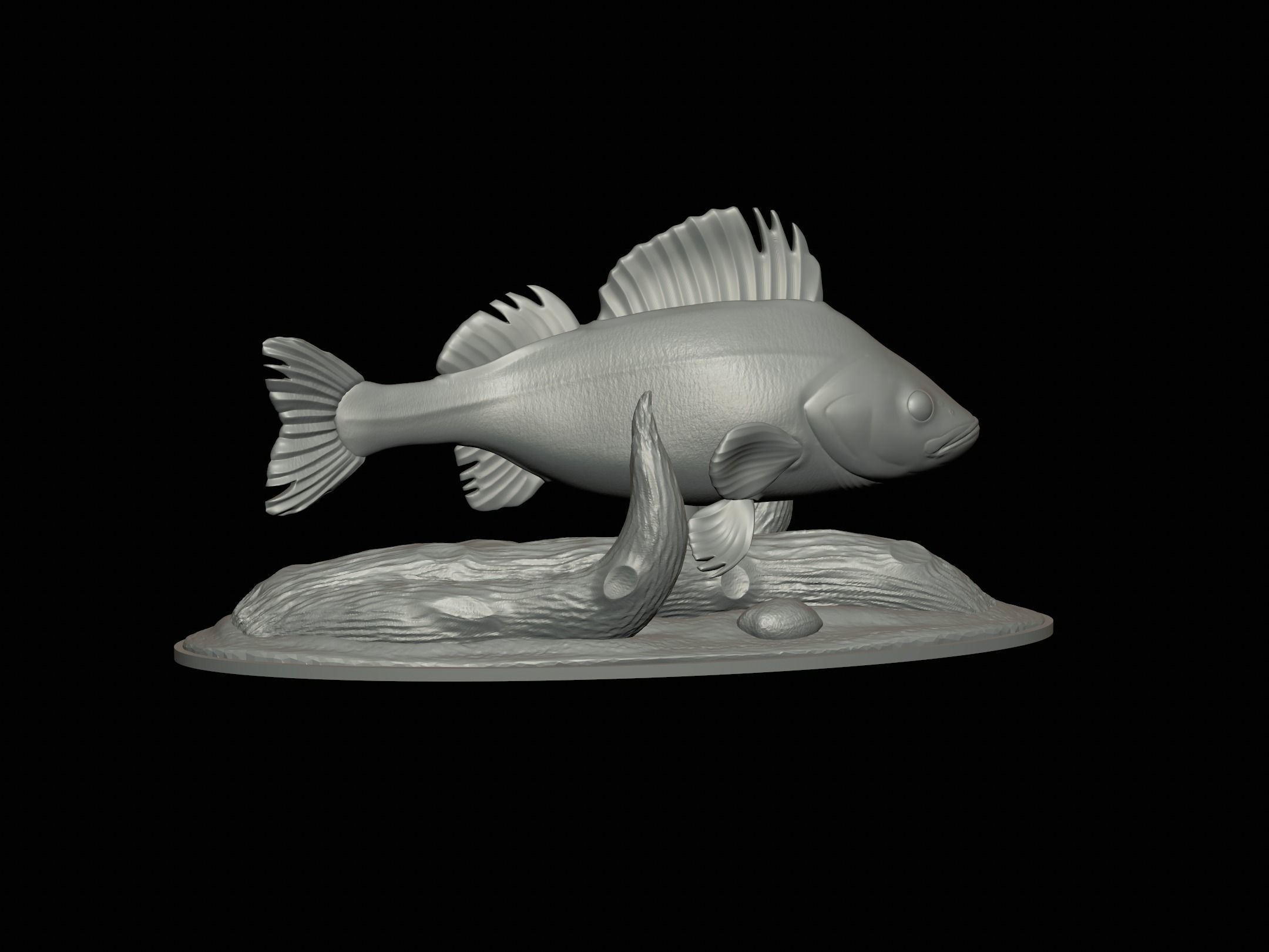 fish perch in motion underwater statue detailed texture 3D print model_14