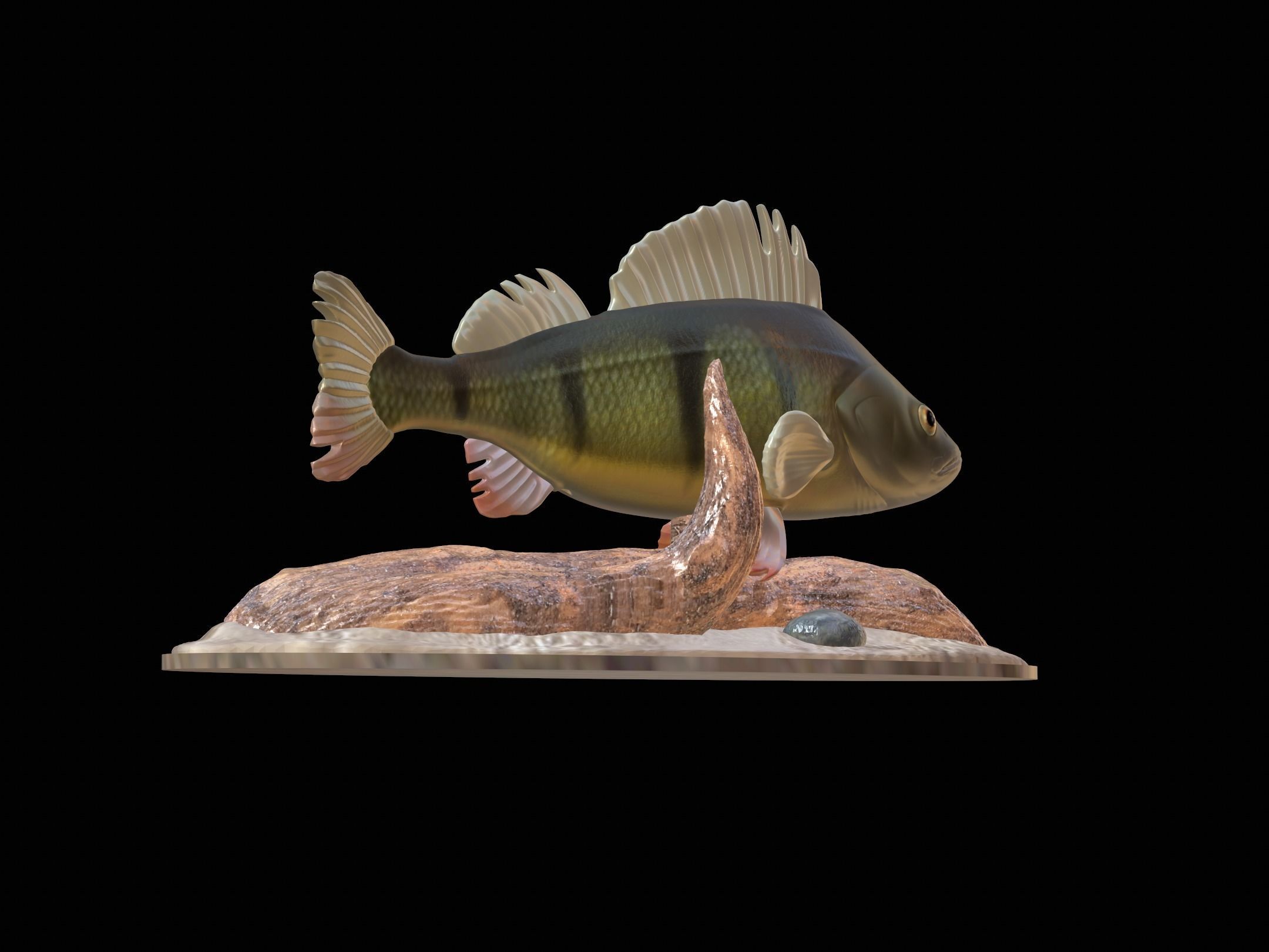fish perch in motion underwater statue detailed texture 3D print model_18