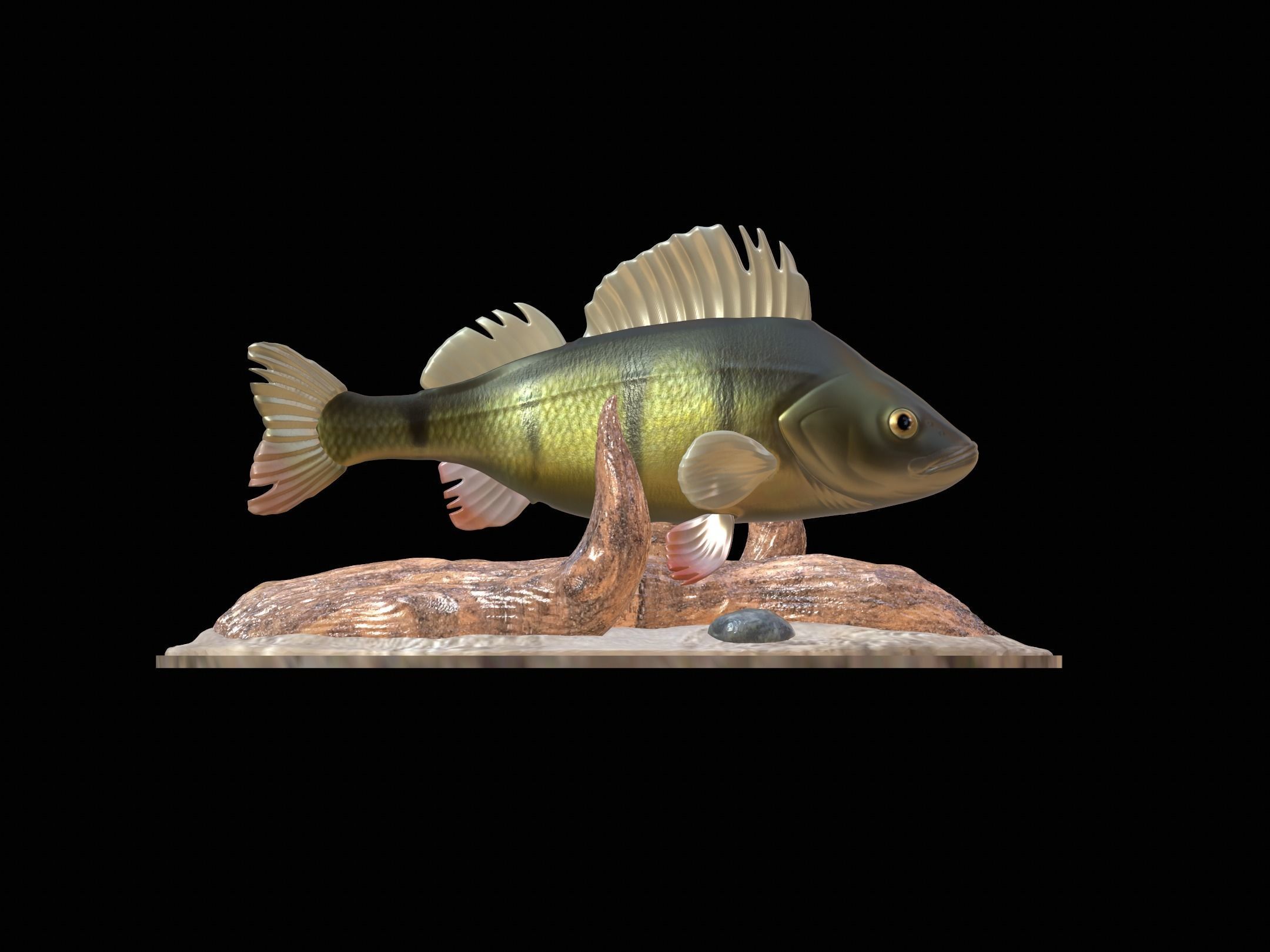 fish perch in motion underwater statue detailed texture 3D print model_19