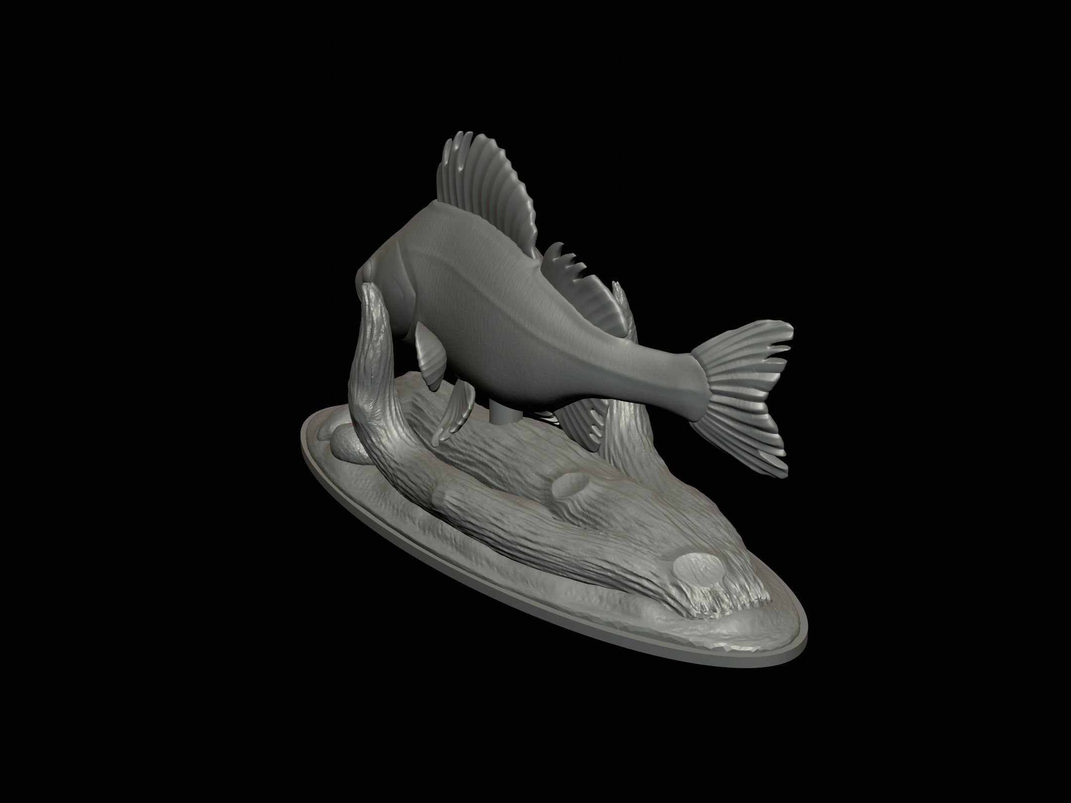 fish perch in motion underwater statue detailed texture 3D print model_13