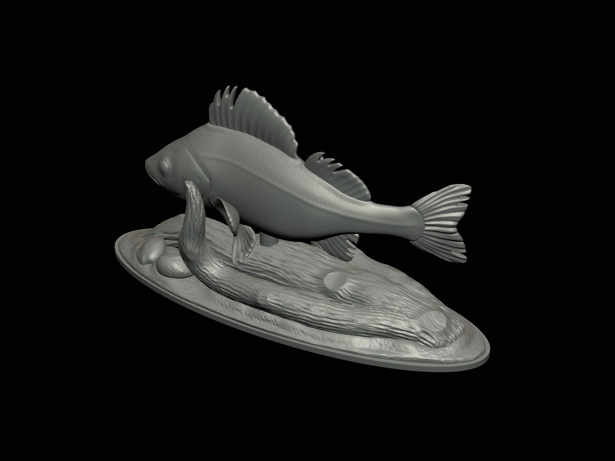fish perch in motion underwater statue detailed texture 3D print model_4