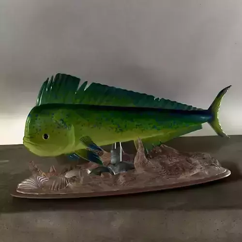 fish mahi mahi in motion underwater statue detailed texture  3D print model
