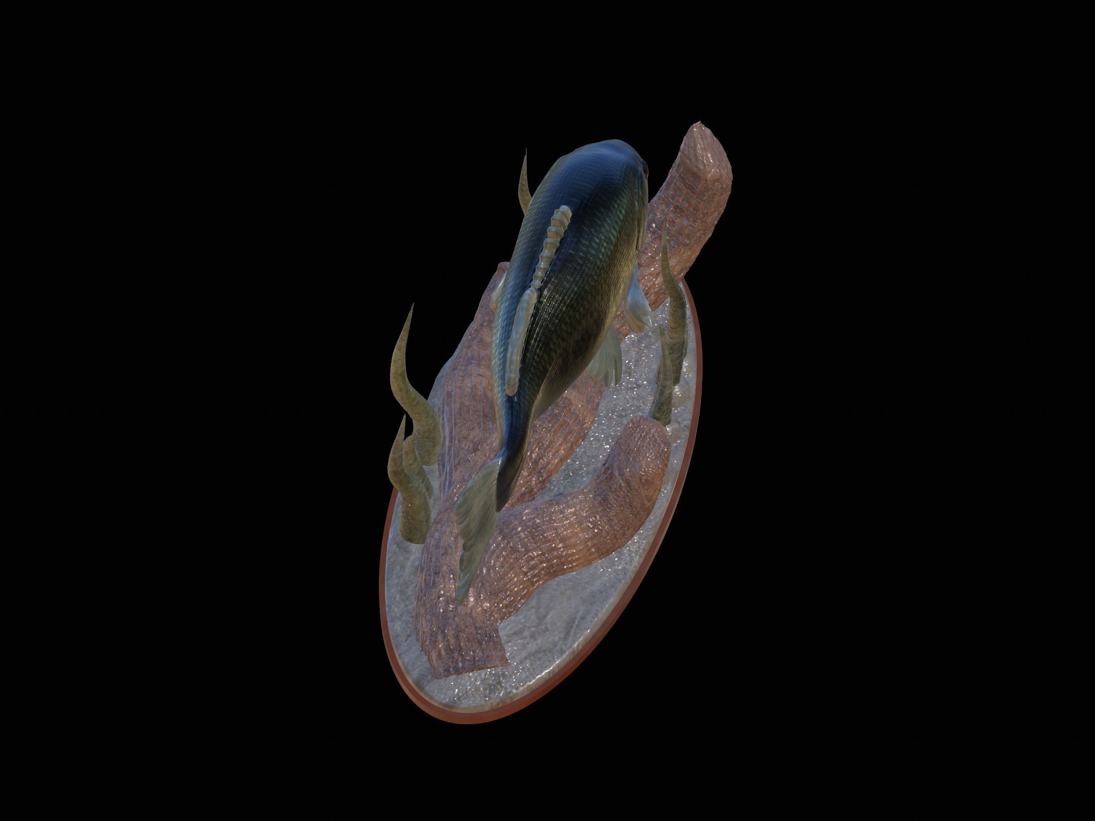 fish bass in motion underwater statue detailed texture 3D print model_16