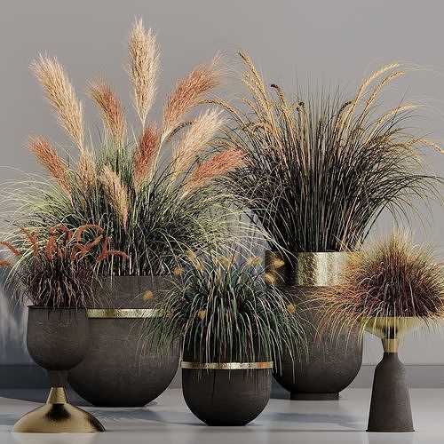 INDOOR PLANT SET 10 3D model