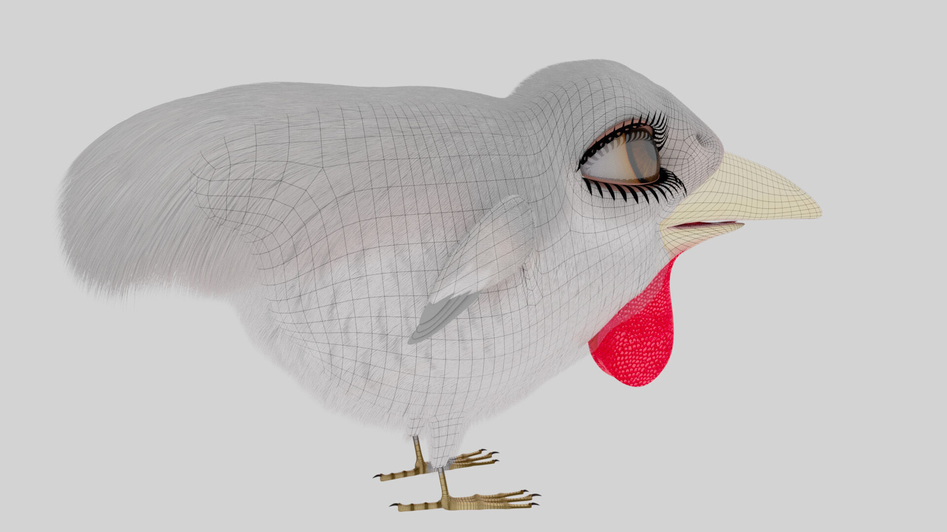 Bird Pheasant Low-poly 3D model_13