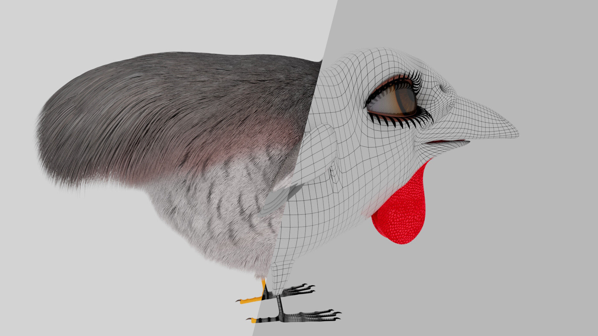 Bird Pheasant Low-poly 3D model_20