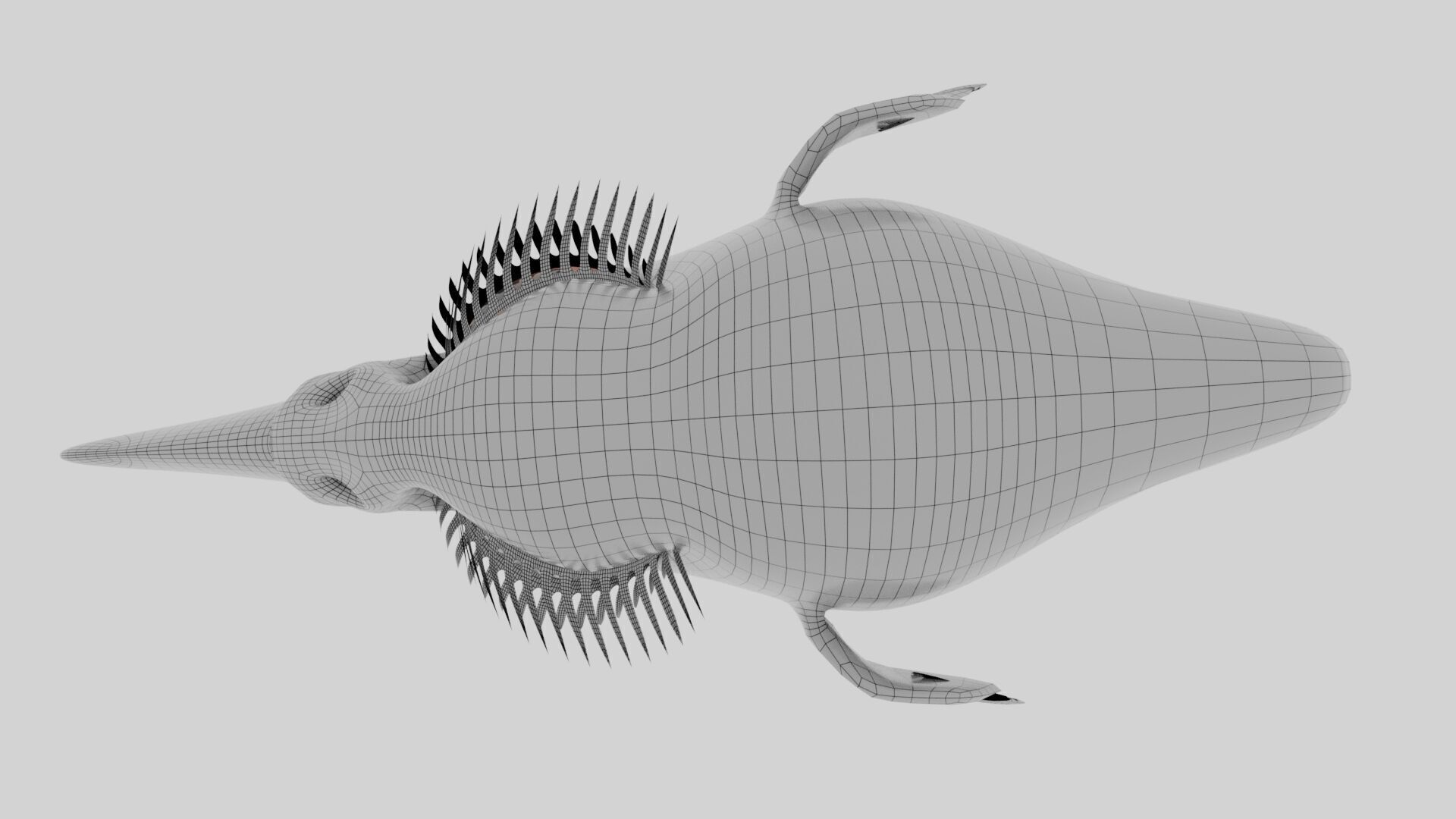 Bird Pheasant Low-poly 3D model_23