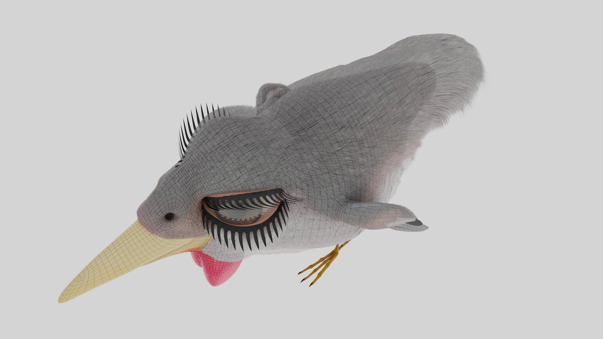 Bird Pheasant Low-poly 3D model_15