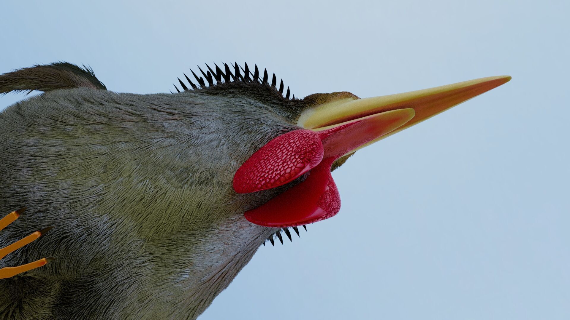 Bird Pheasant Low-poly 3D model_24