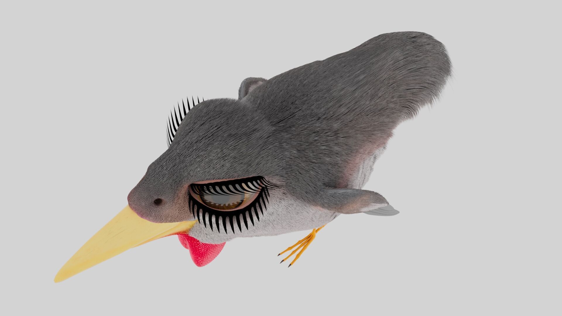 Bird Pheasant Low-poly 3D model_8