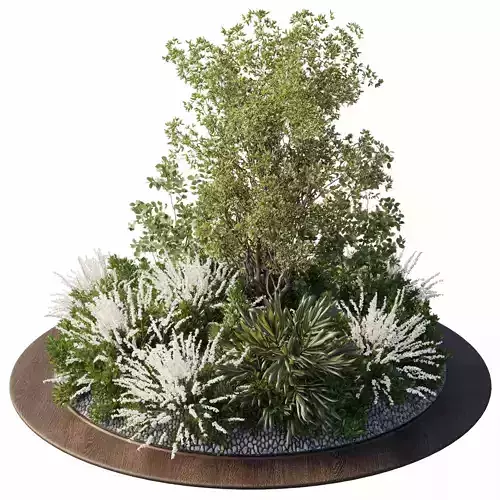 Garden Plants - Outdoor Plants 208