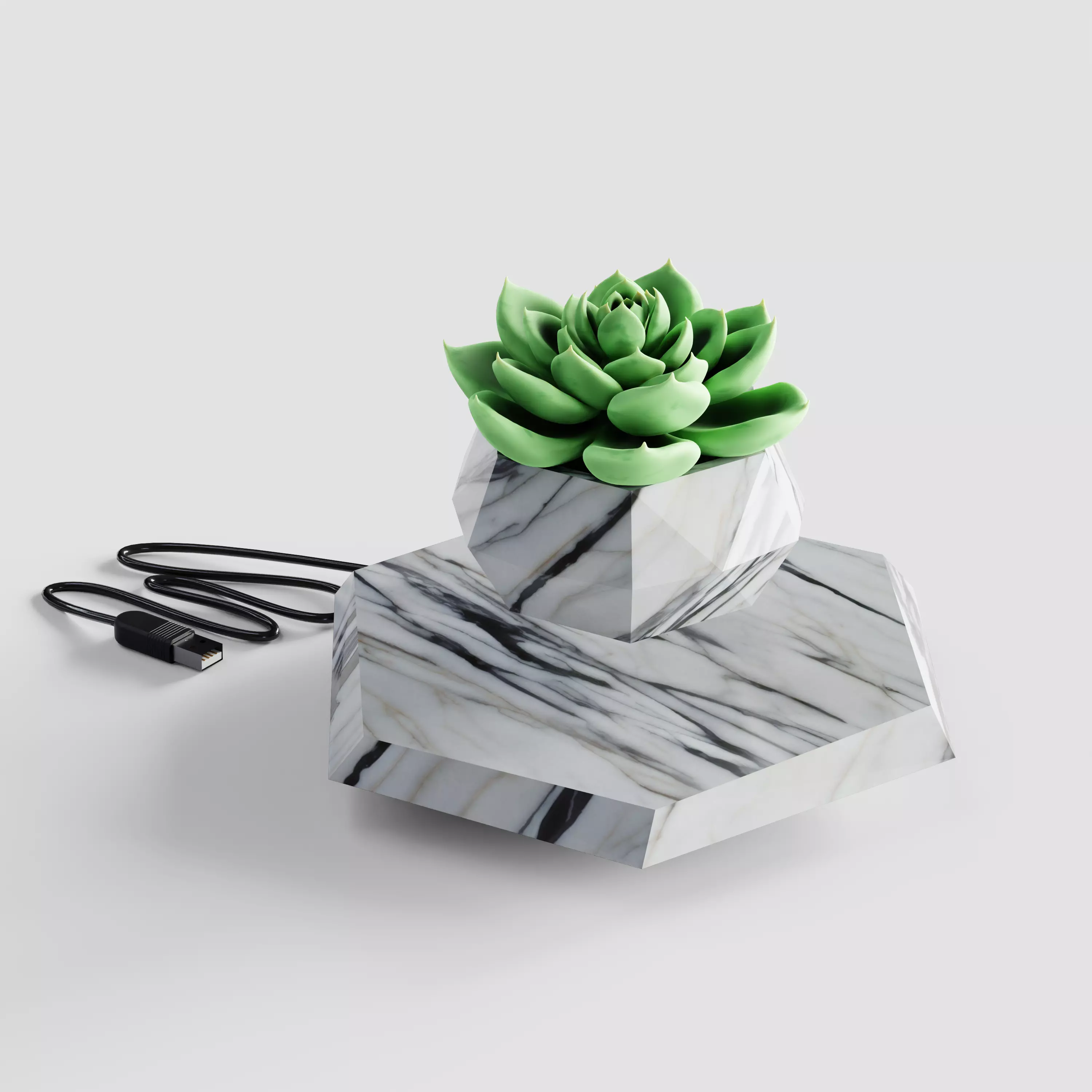 Hover plant blender Low-poly 3D model_0