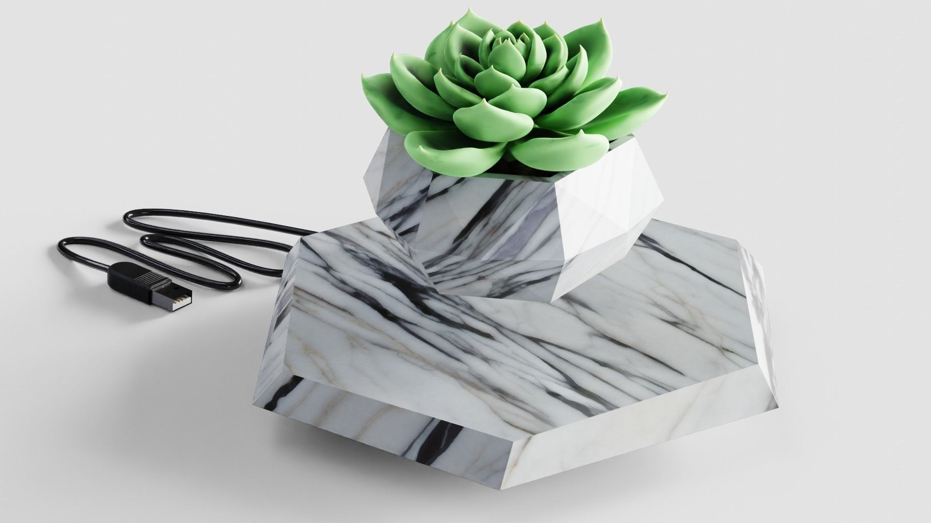 Hover plant blender Low-poly 3D model_2