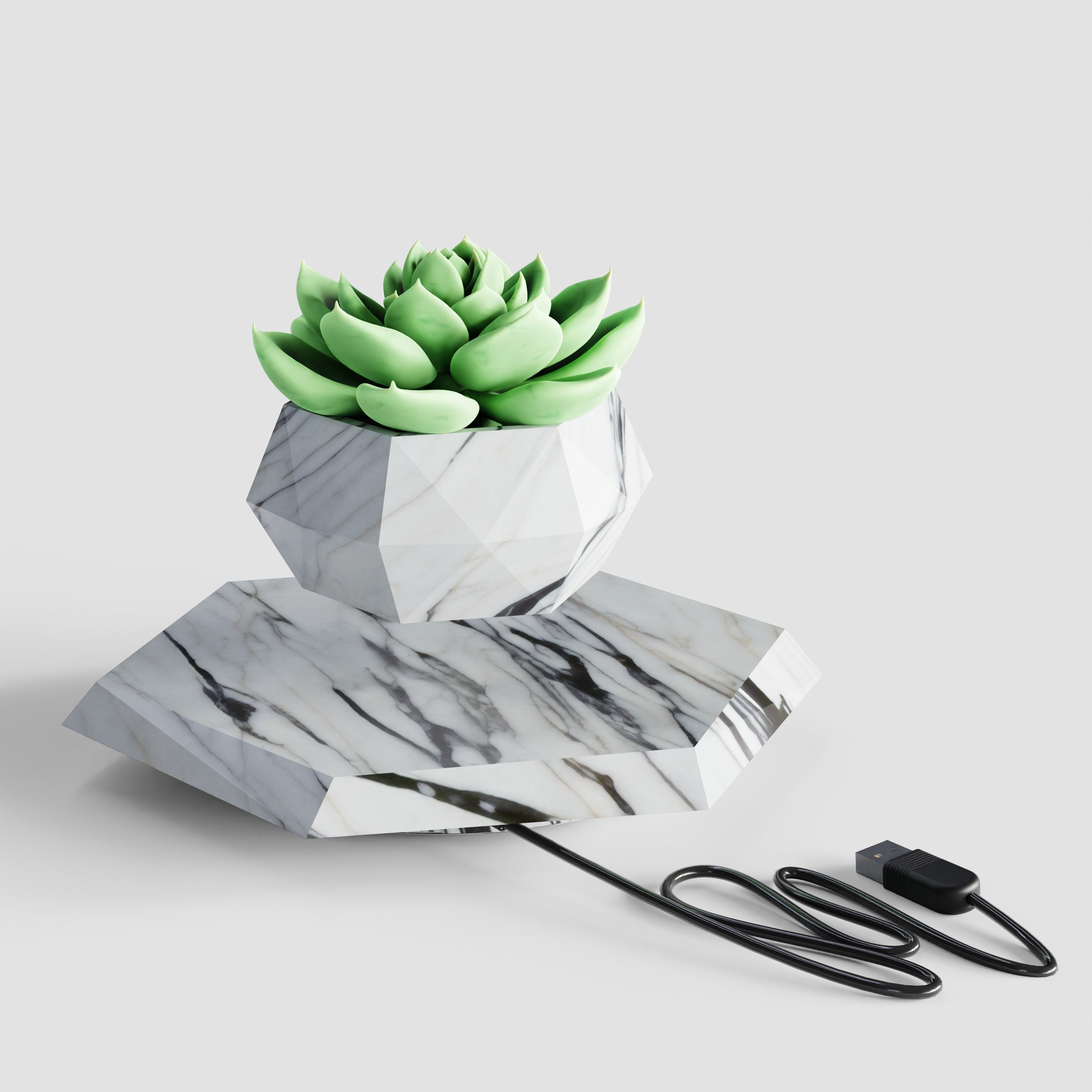 Hover plant blender Low-poly 3D model_4