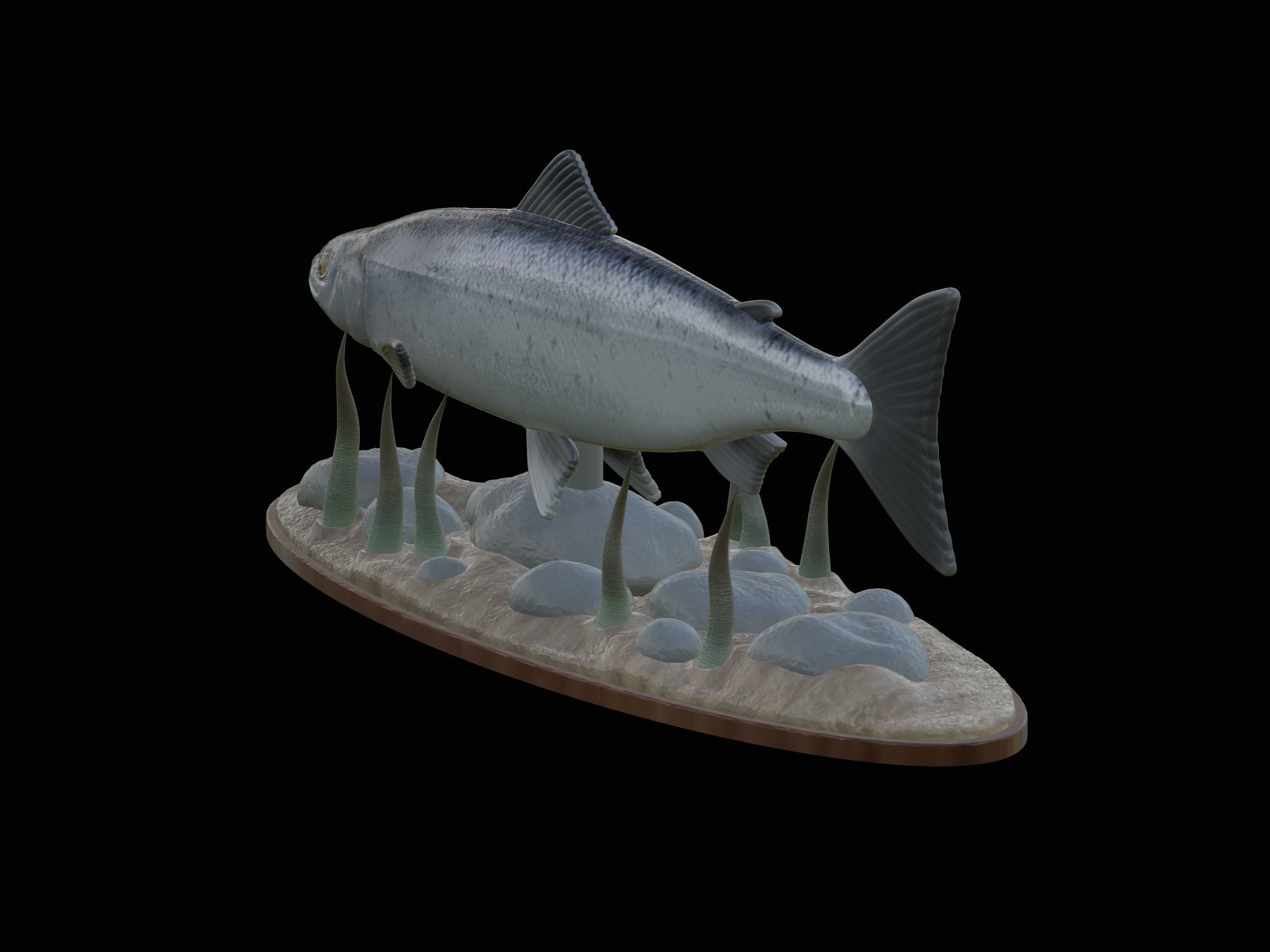 Atlantic salmon  fish underwater statue 3D print model_17