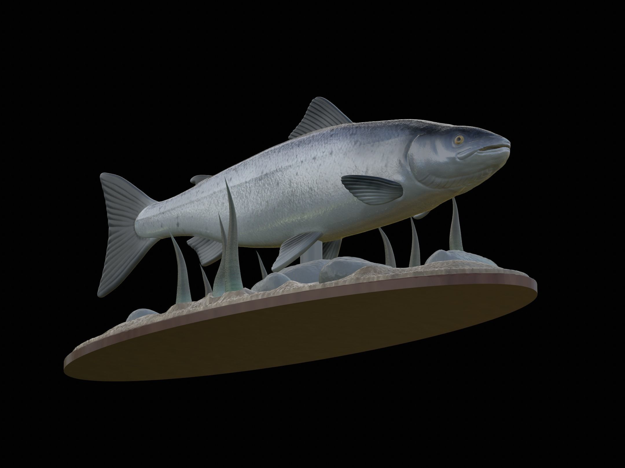 Atlantic salmon  fish underwater statue 3D print model_22
