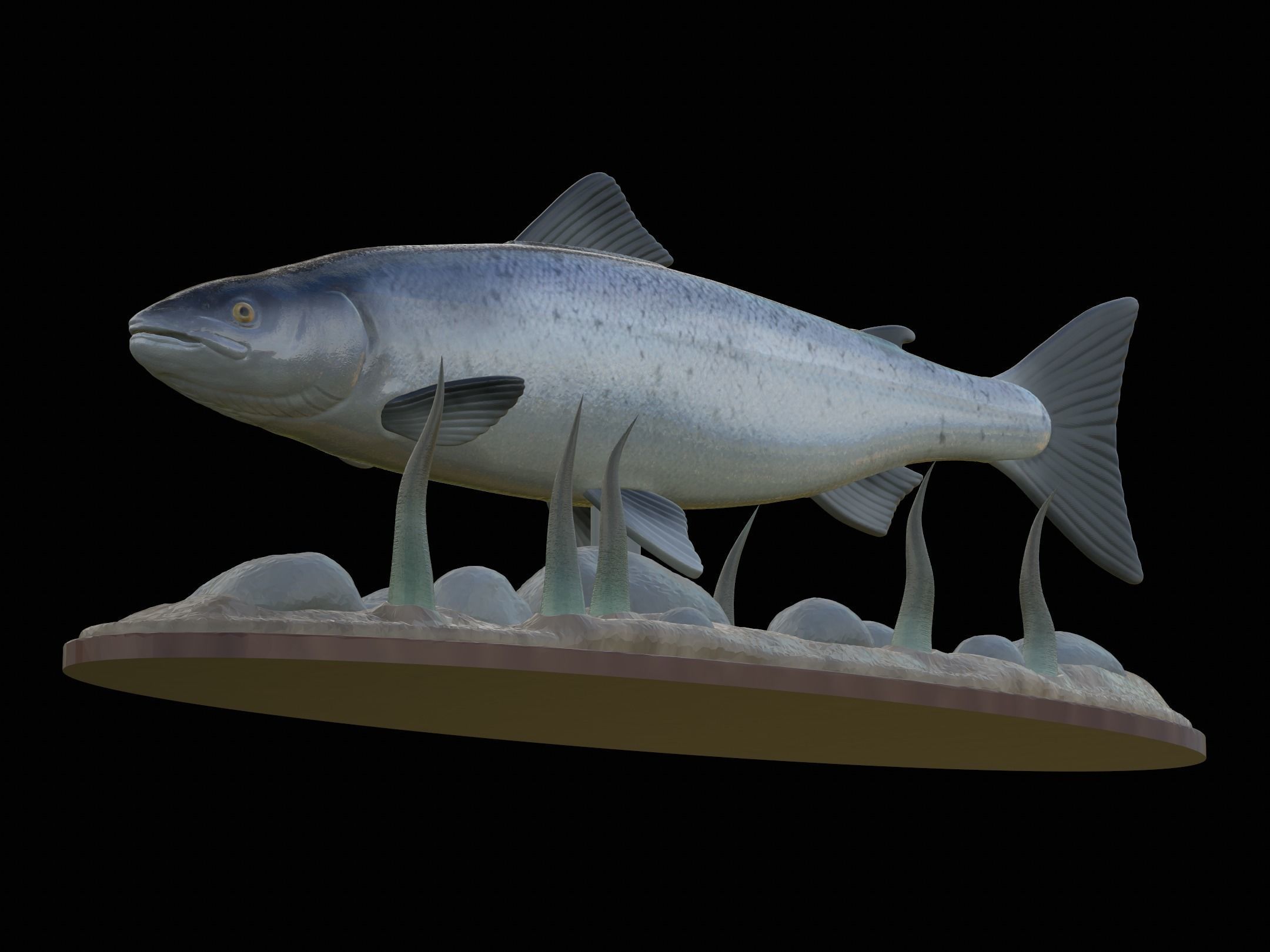 Atlantic salmon  fish underwater statue 3D print model_3