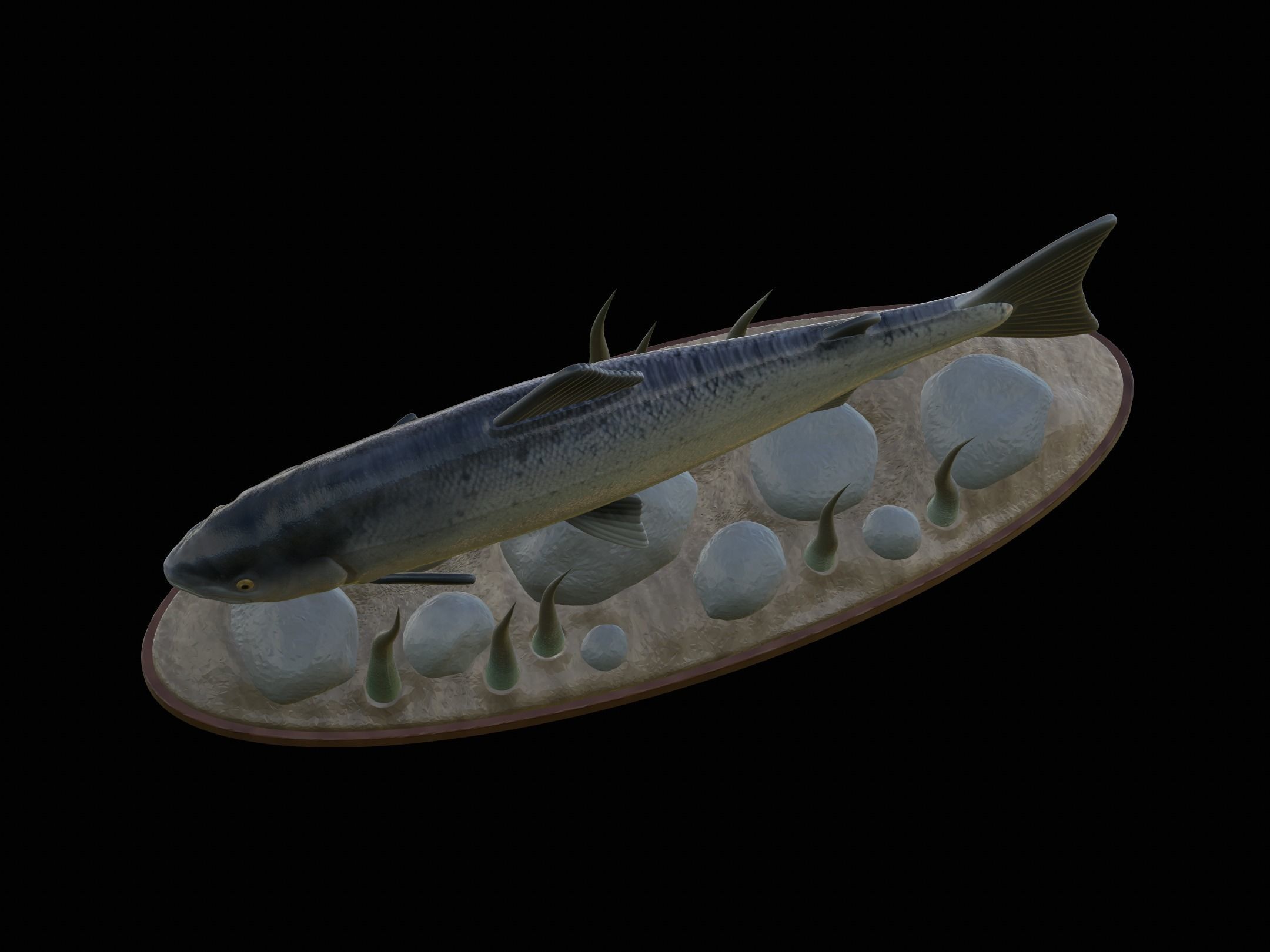 Atlantic salmon  fish underwater statue 3D print model_4