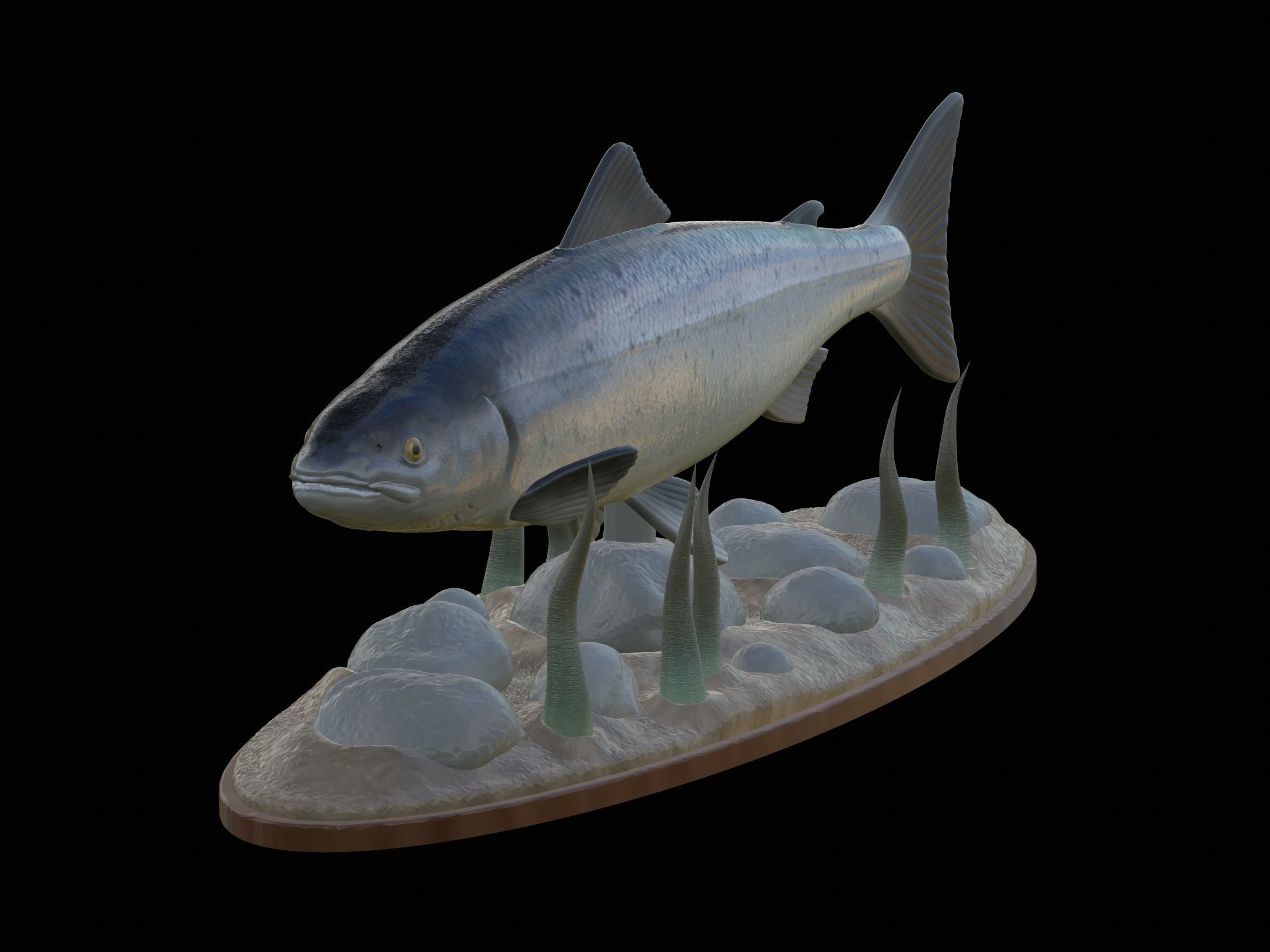 Atlantic salmon  fish underwater statue 3D print model_2