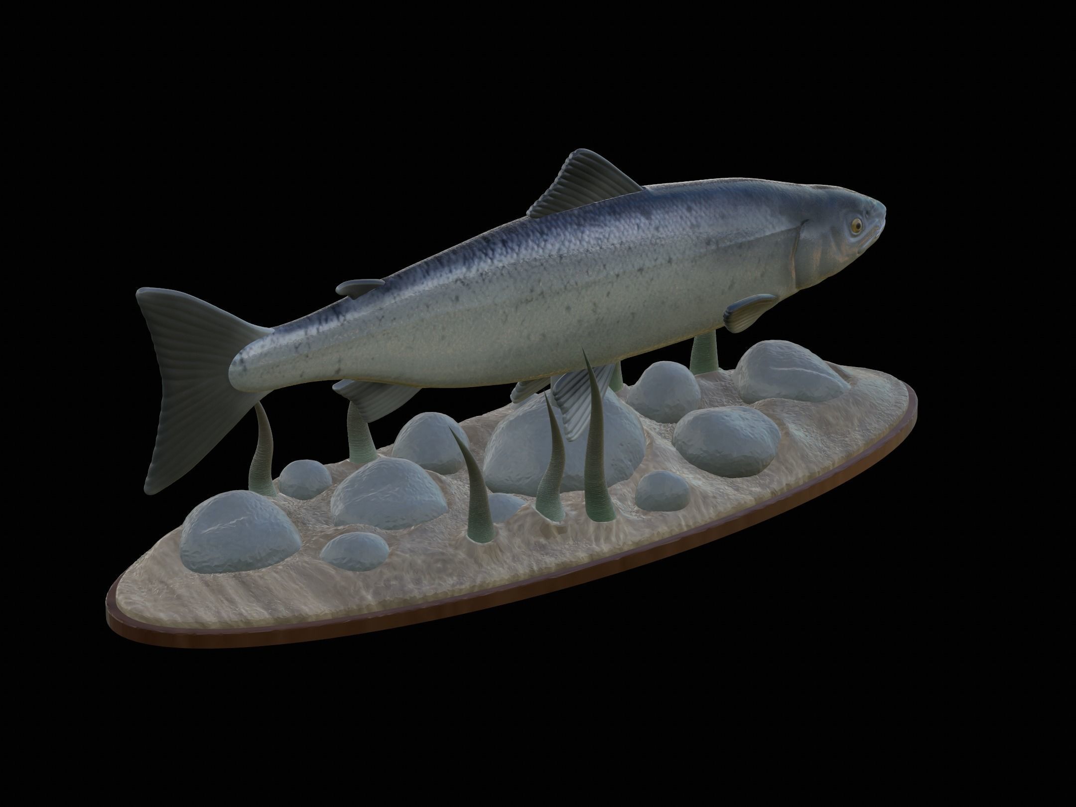 Atlantic salmon  fish underwater statue 3D print model_20