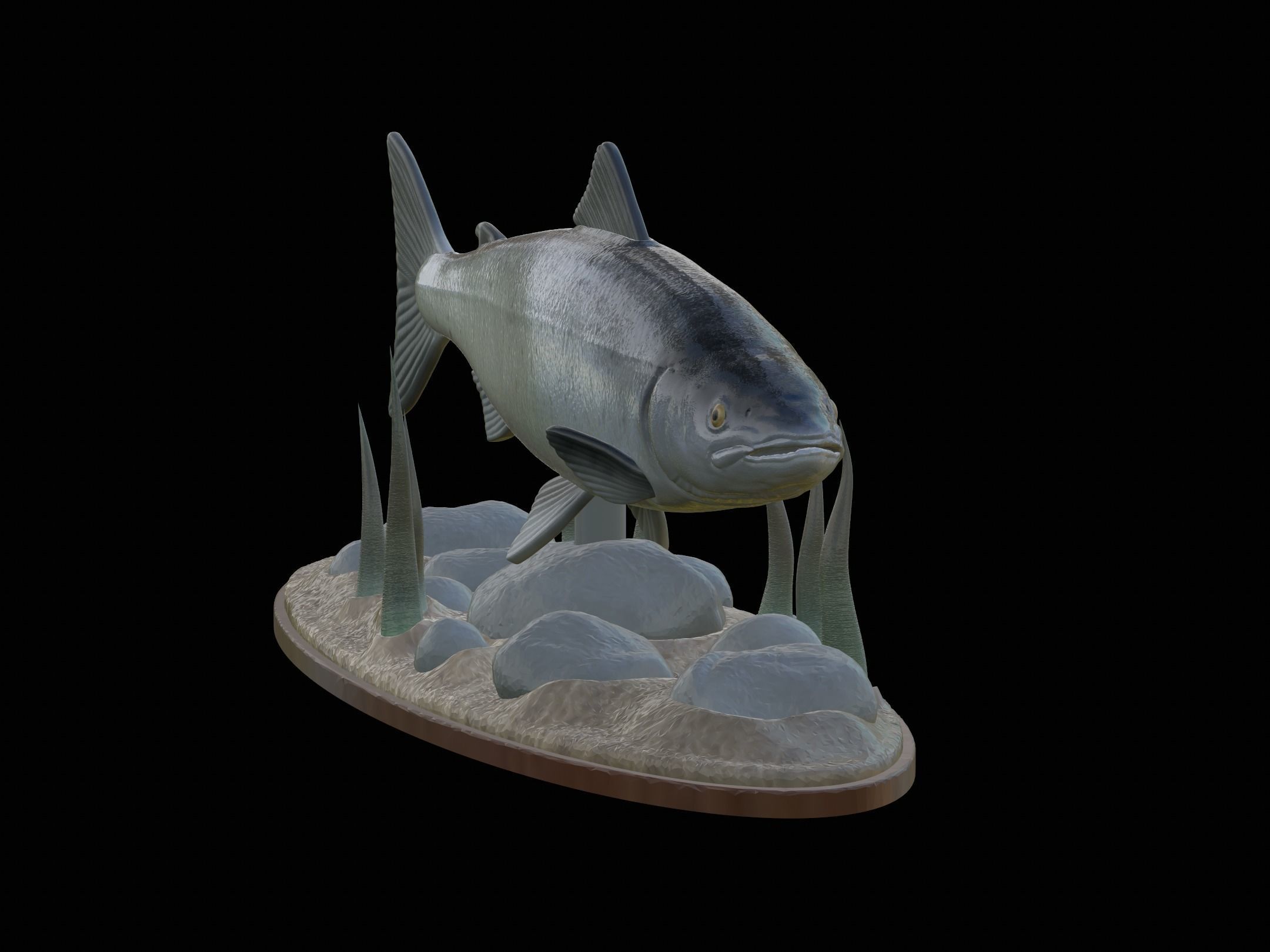 Atlantic salmon  fish underwater statue 3D print model_1