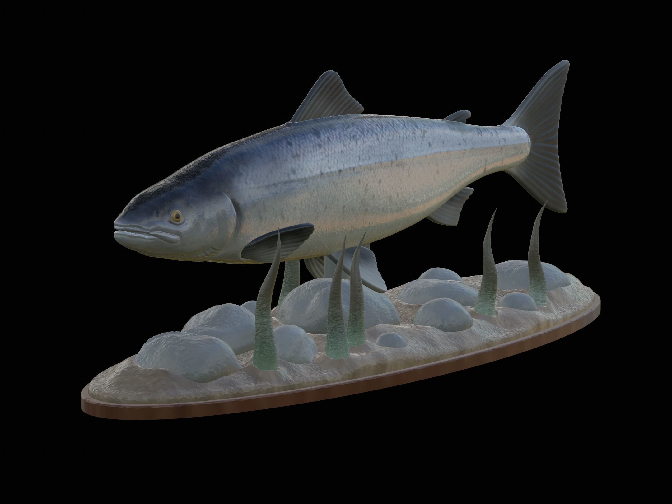 Atlantic salmon  fish underwater statue 3D print model_23