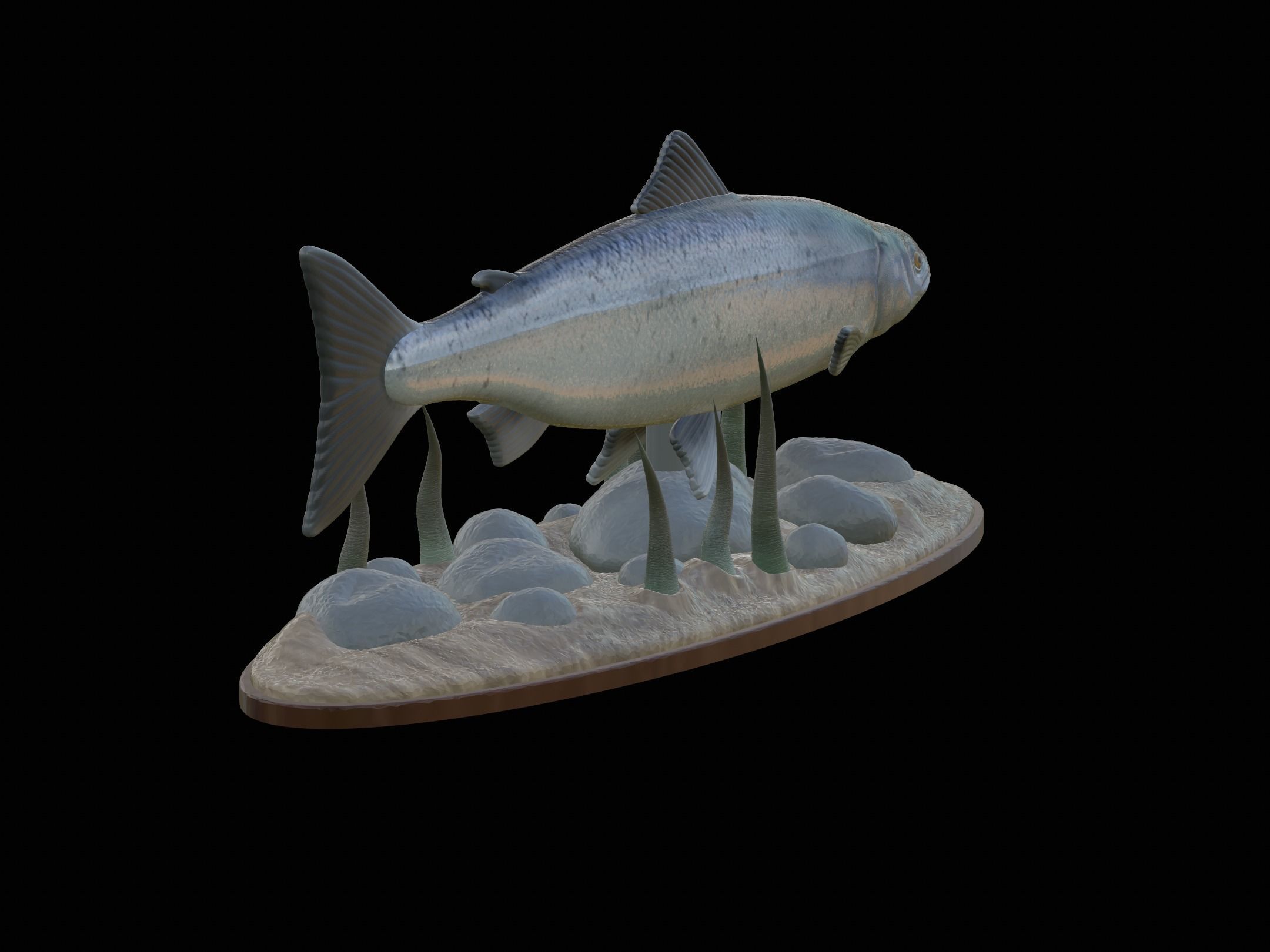 Atlantic salmon  fish underwater statue 3D print model_19