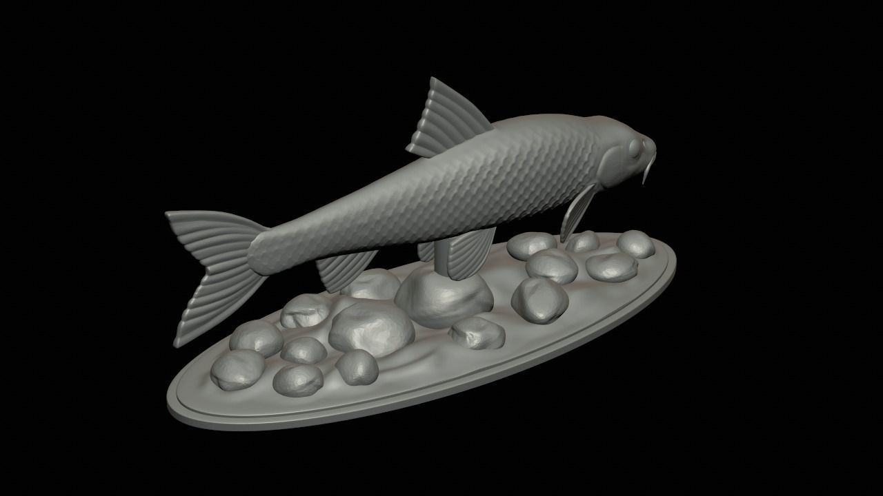 fish gudgeon underwater statue detailed texture 3D print model_4