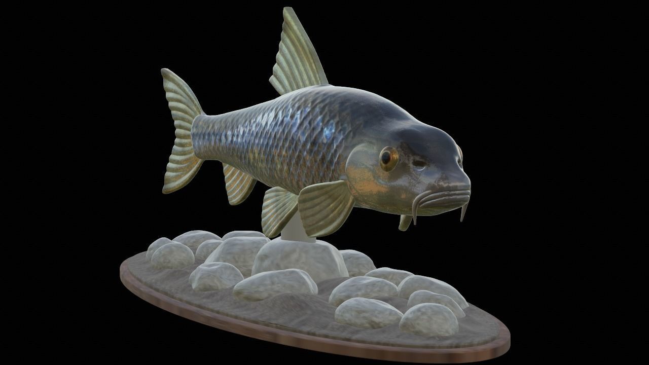 fish gudgeon underwater statue detailed texture 3D print model_9