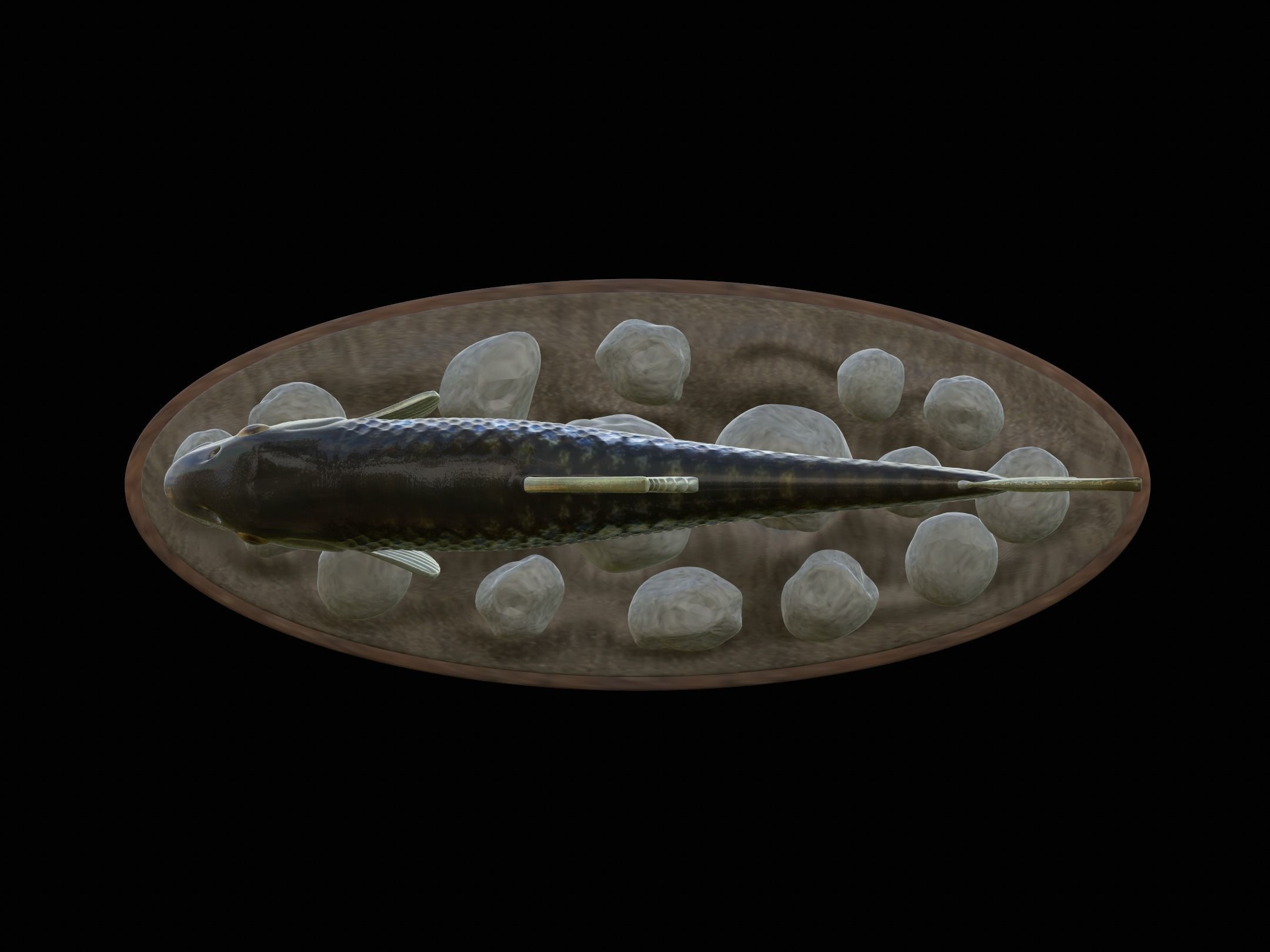 fish gudgeon underwater statue detailed texture 3D print model_8