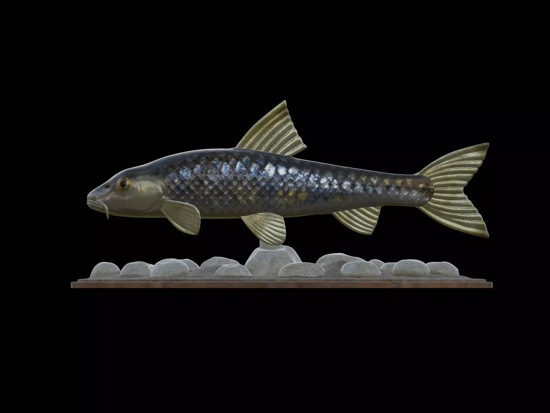 fish gudgeon underwater statue detailed texture 3D print model_0