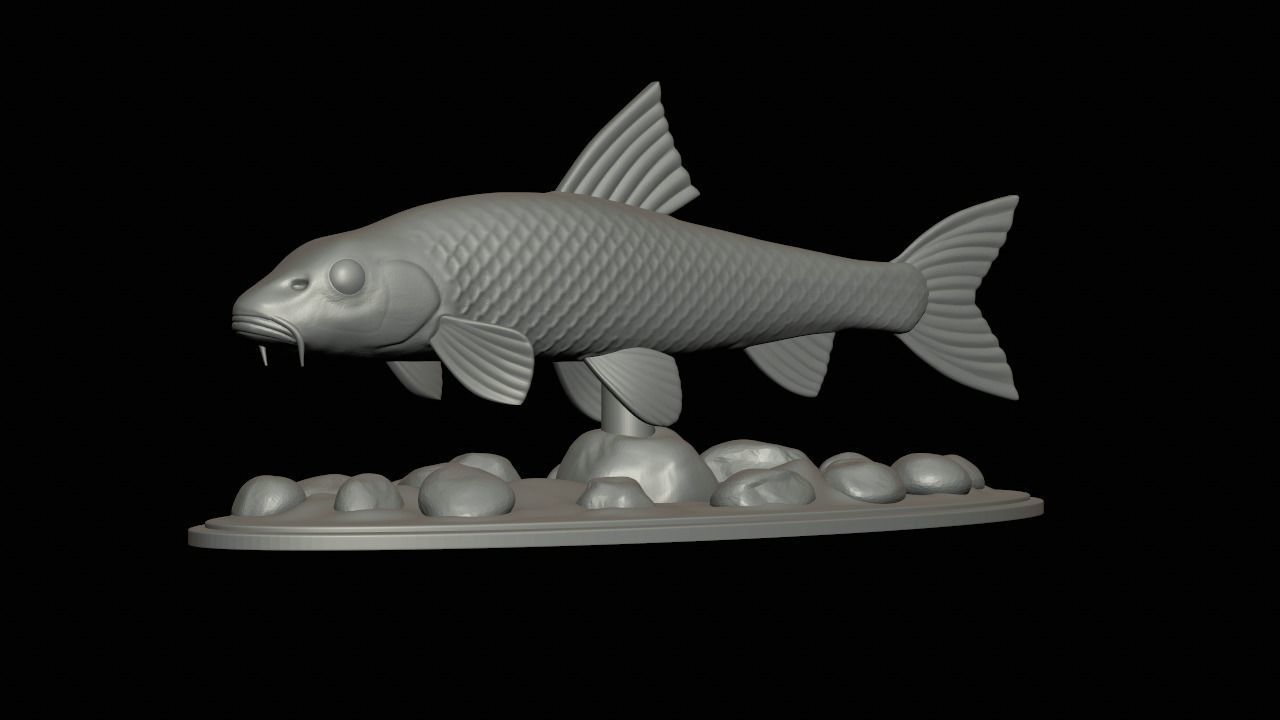 fish gudgeon underwater statue detailed texture 3D print model_1