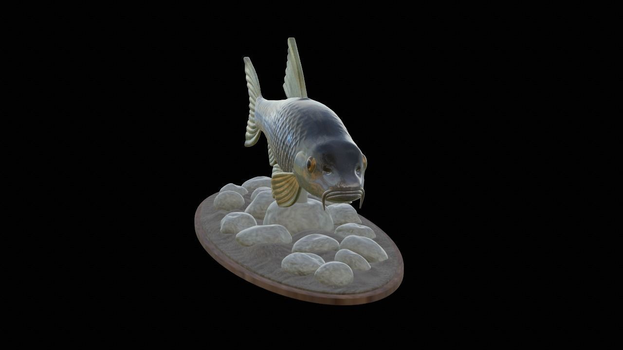 fish gudgeon underwater statue detailed texture 3D print model_11