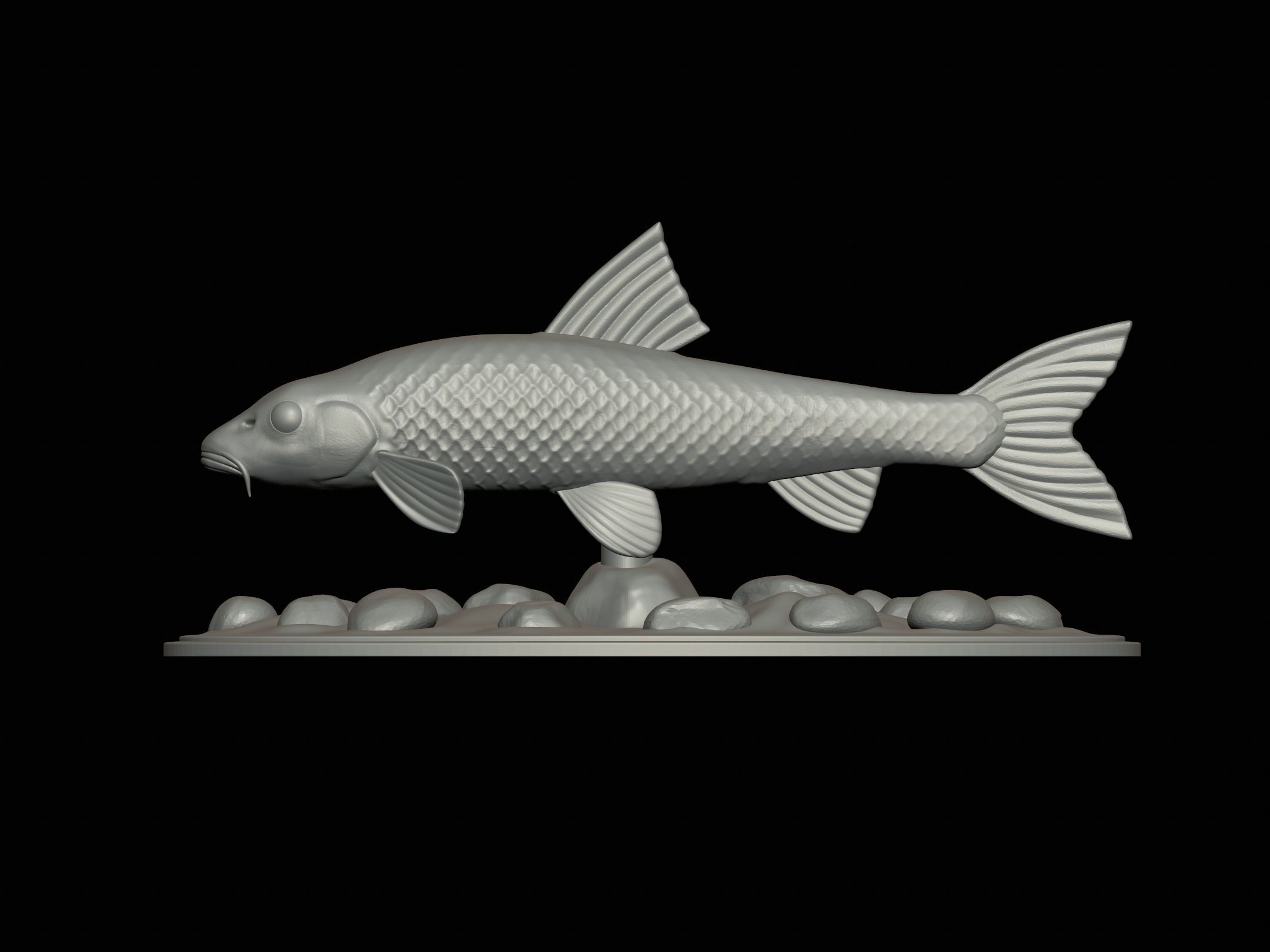 fish gudgeon underwater statue detailed texture 3D print model_6