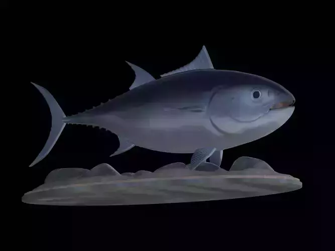 fish Atlantic bluefin tuna underwater statue detailed texture 3D print model