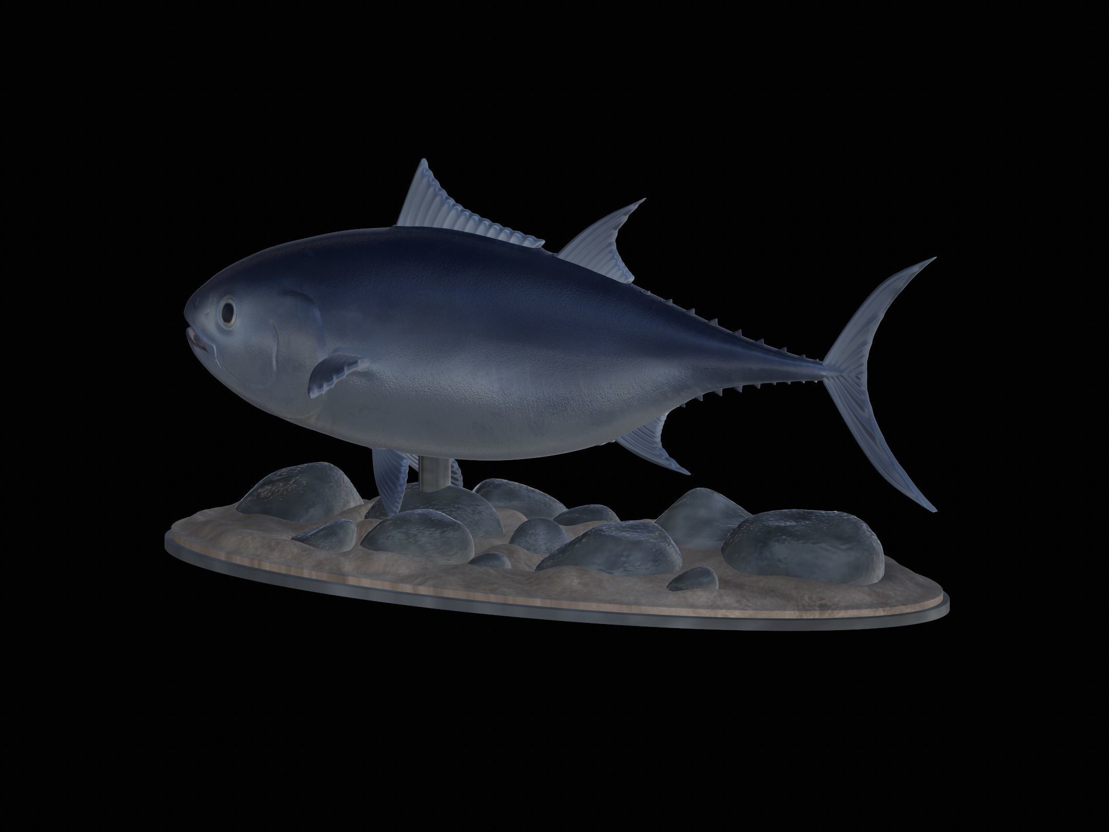 fish Atlantic bluefin tuna underwater statue detailed texture 3D print model_16