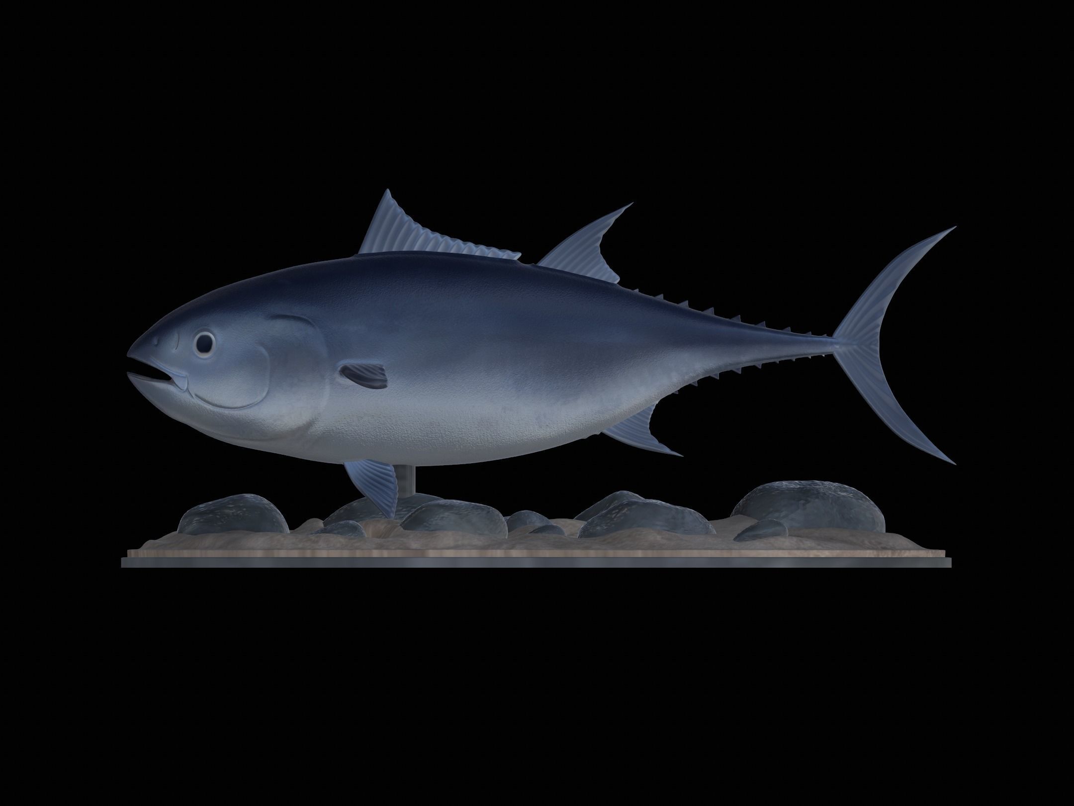 fish Atlantic bluefin tuna underwater statue detailed texture 3D print model_12