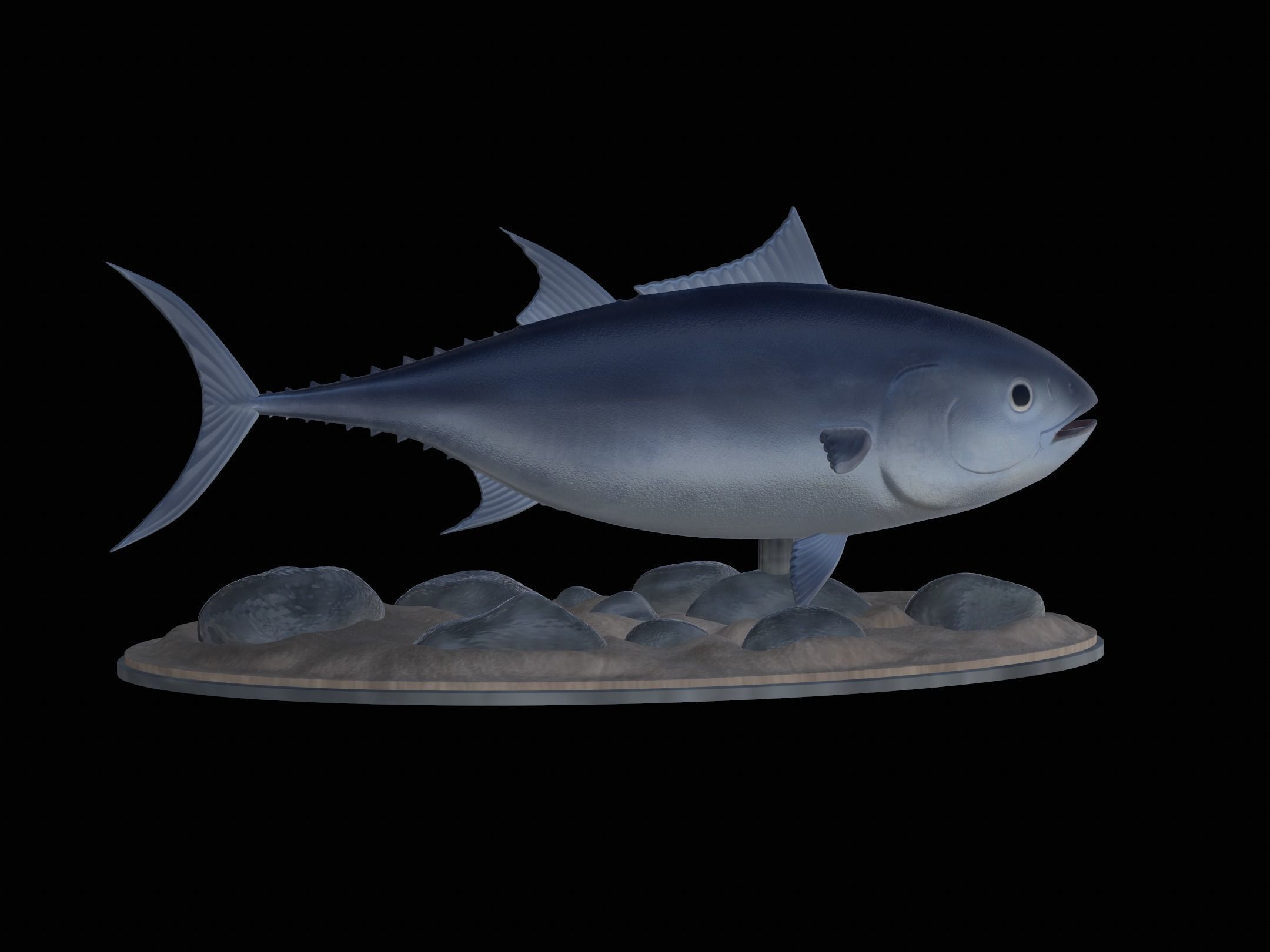 fish Atlantic bluefin tuna underwater statue detailed texture 3D print model_20