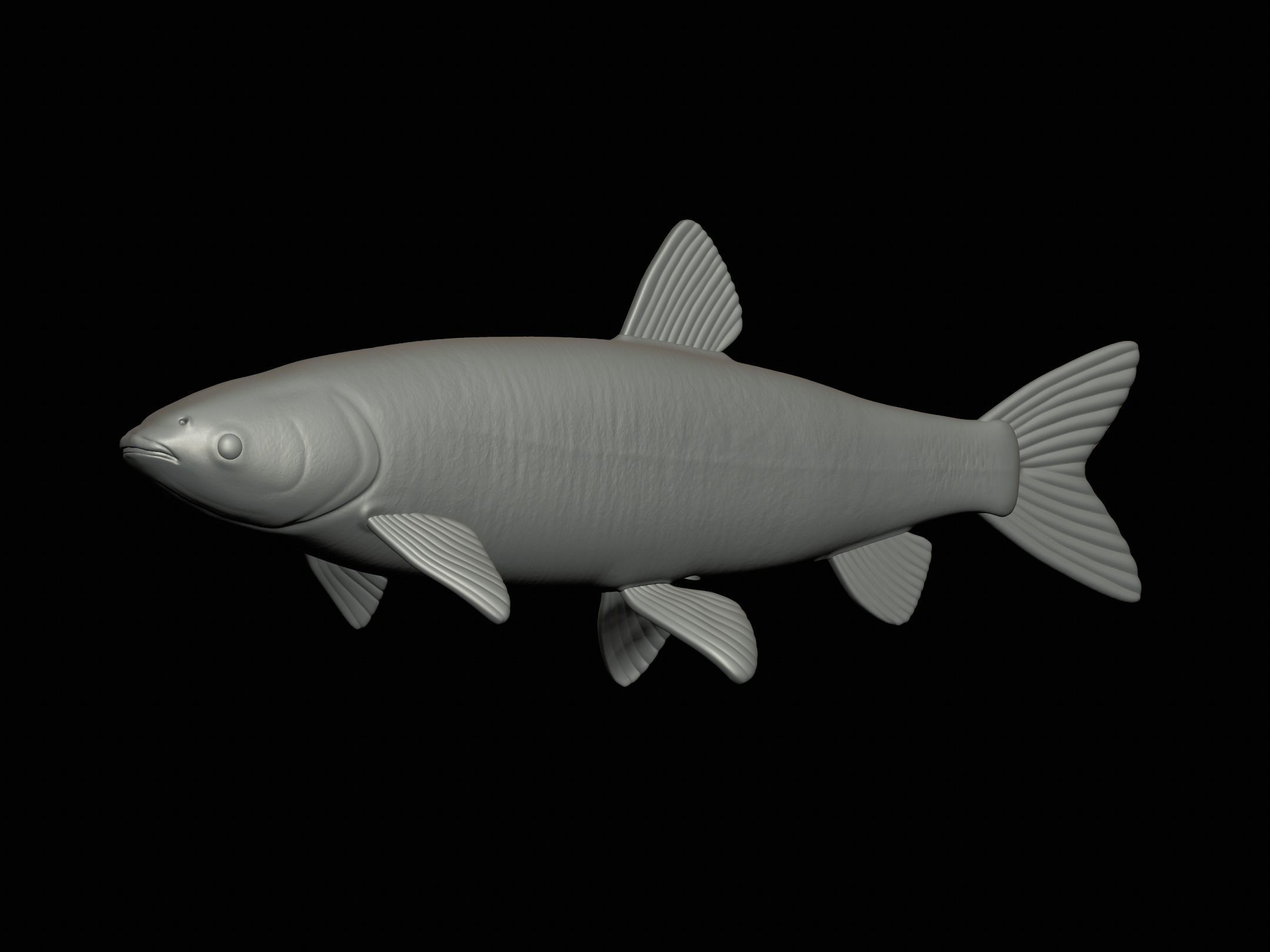 fish grass carp statue underwater detailed texture 3D print model_17